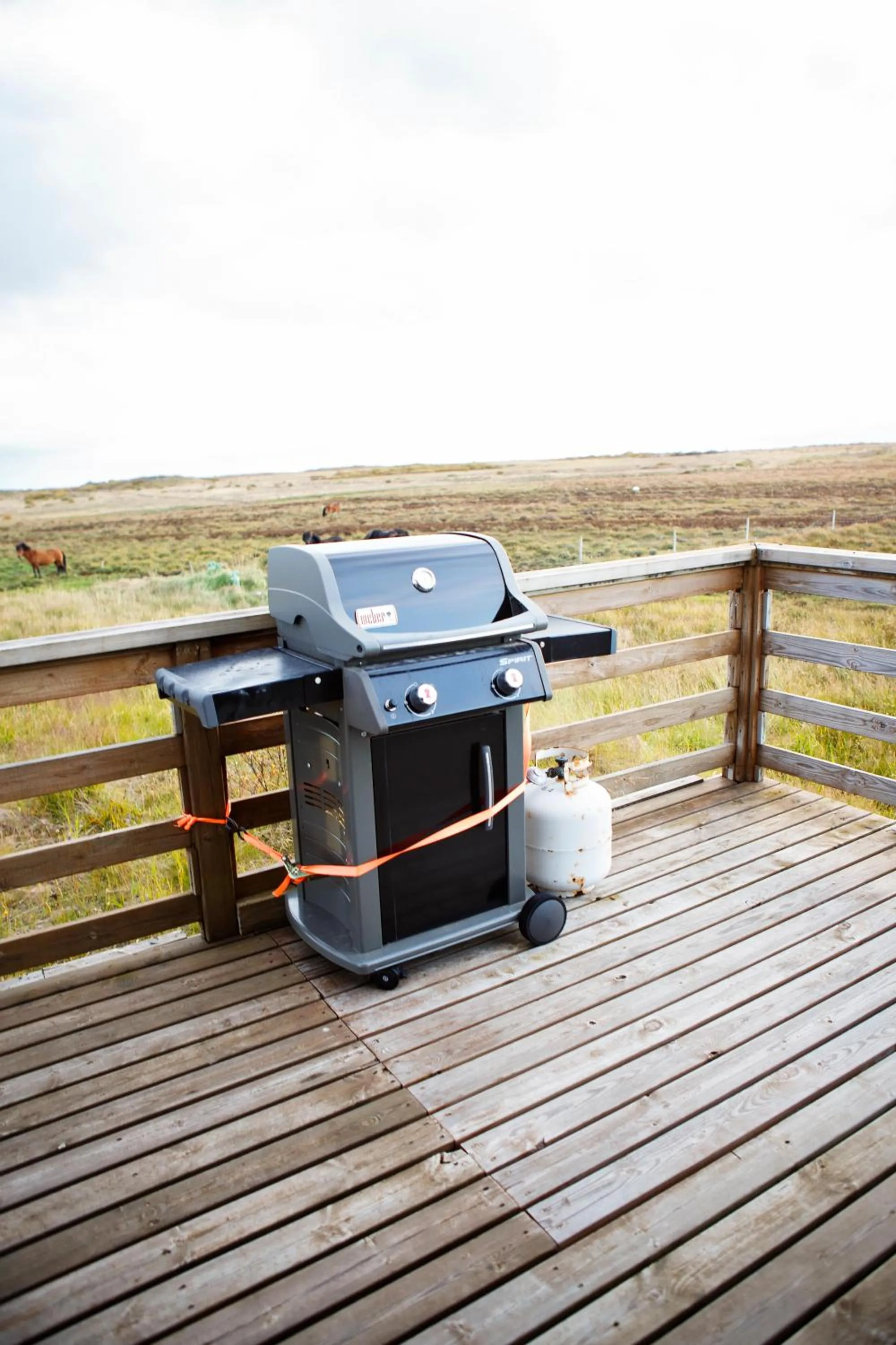 BBQ facilities in Hestaland Guesthouse Horse Farm Stay