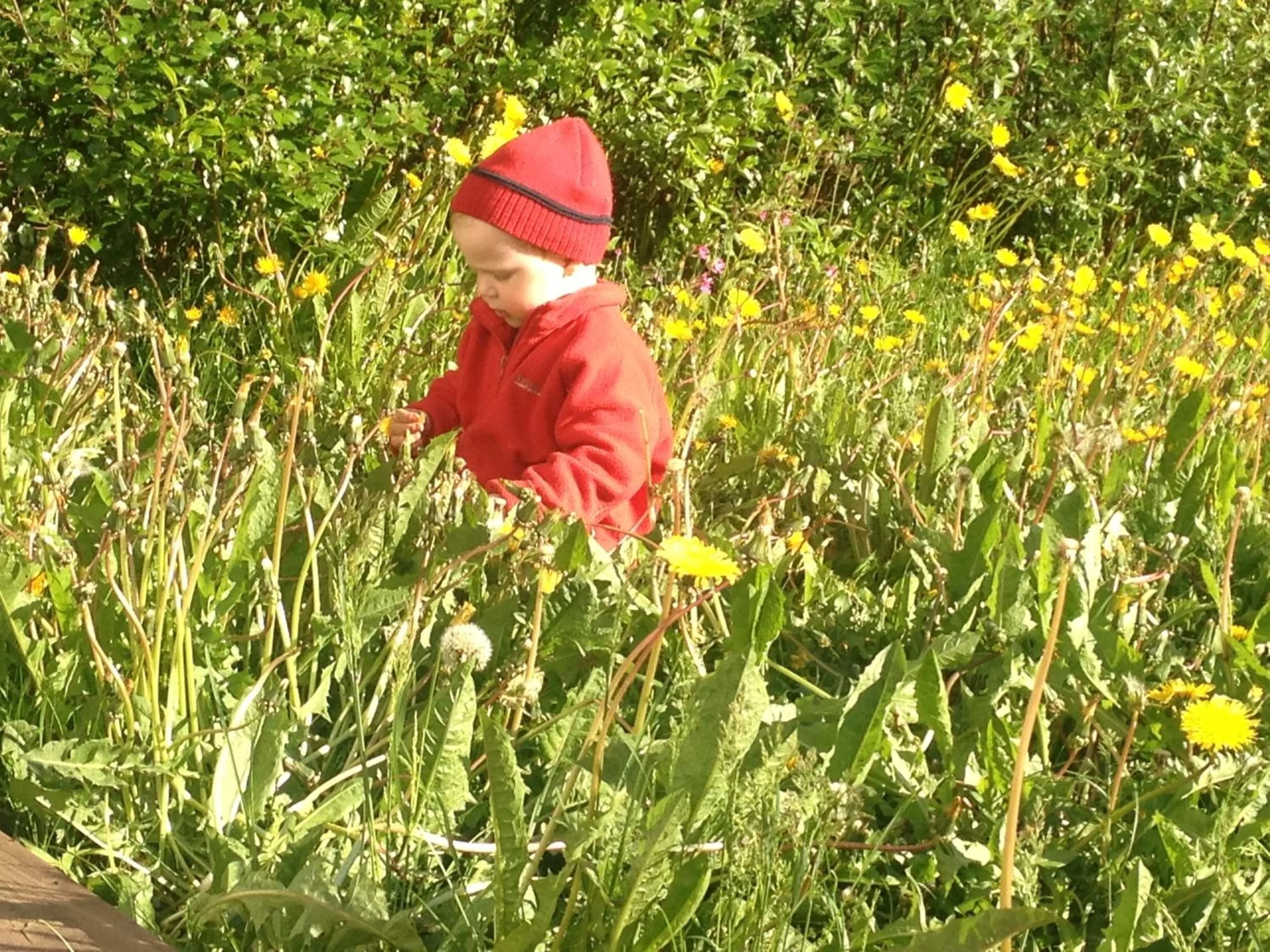 People in Hestaland Guesthouse Horse Farm Stay