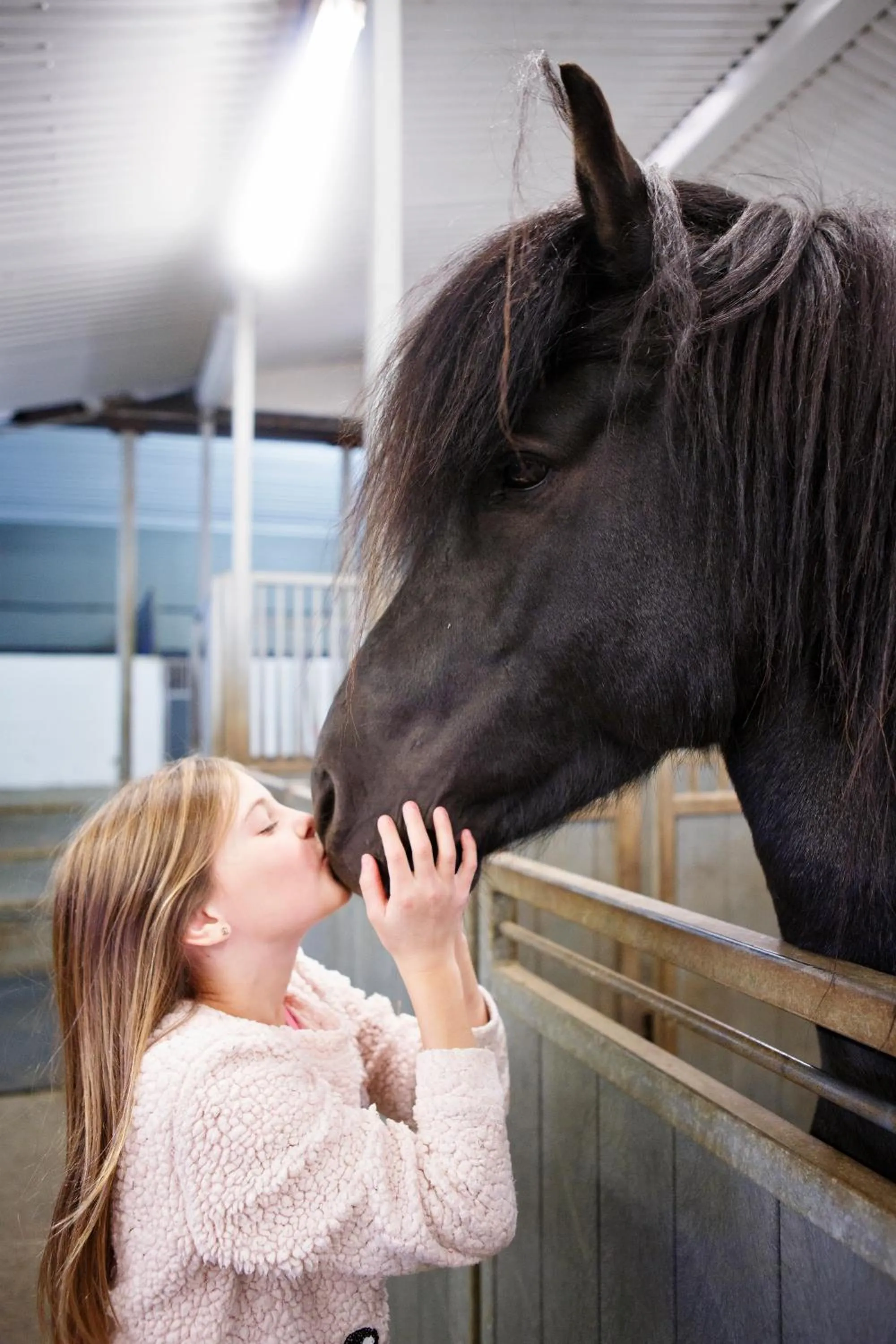 Horse-riding in Hestaland Guesthouse Horse Farm Stay