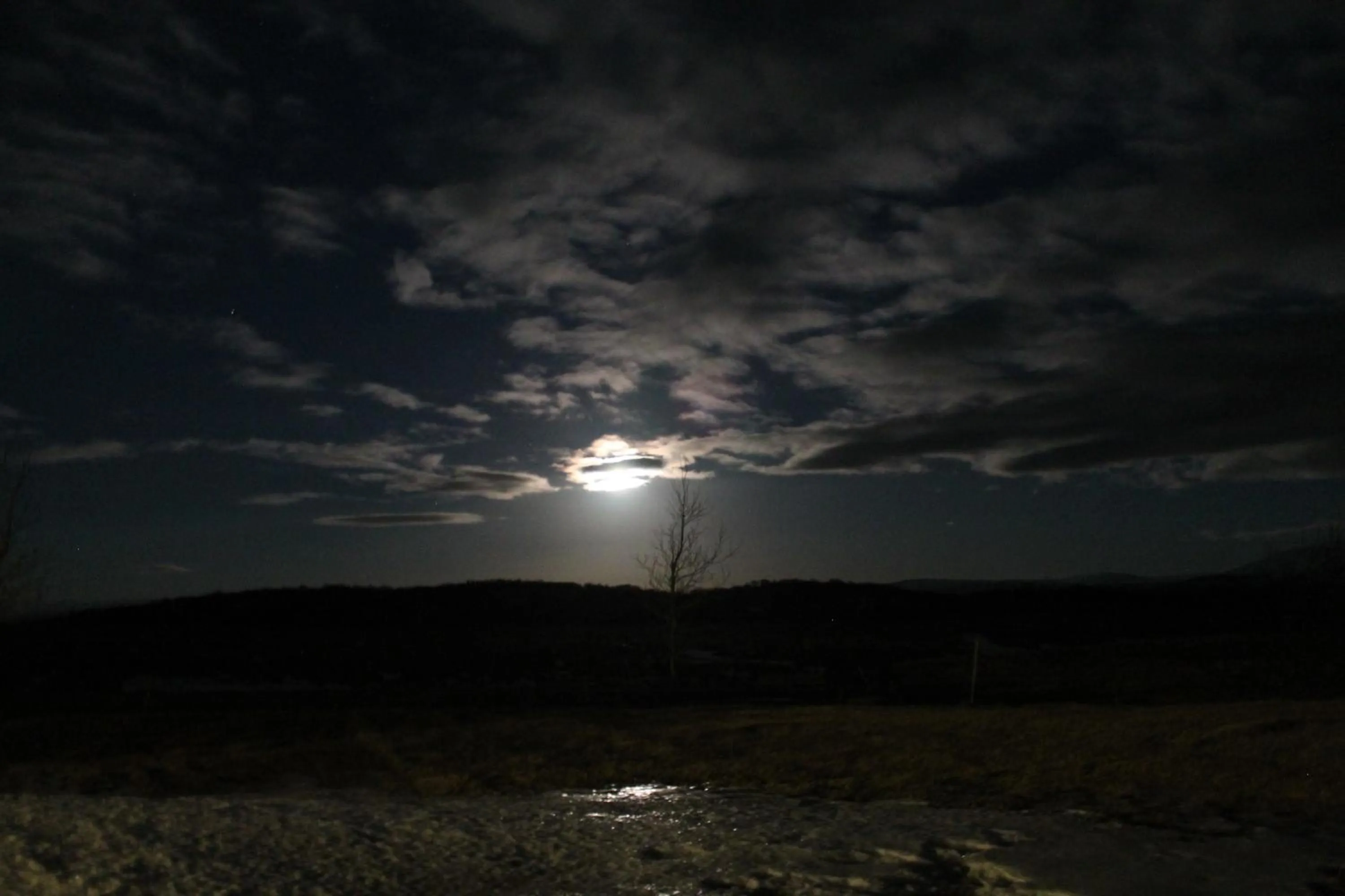 Night in Hestaland Guesthouse Horse Farm Stay