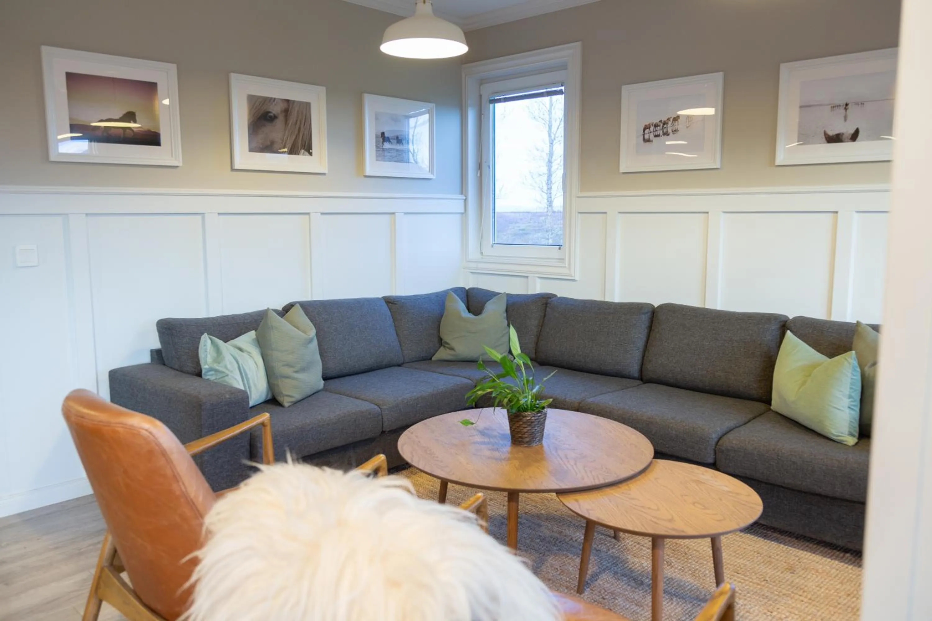 Seating area in Hestaland Guesthouse Horse Farm Stay
