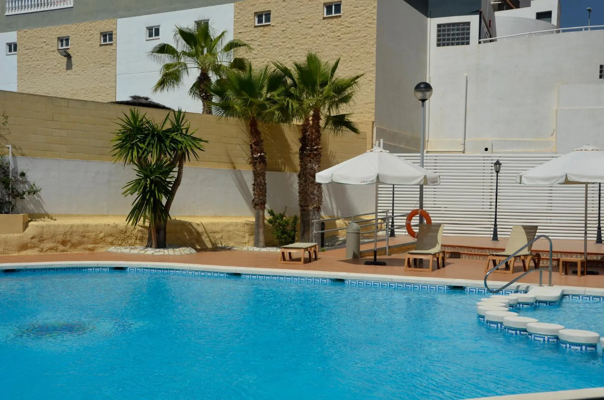 Day in La Familia Gallo Rojo