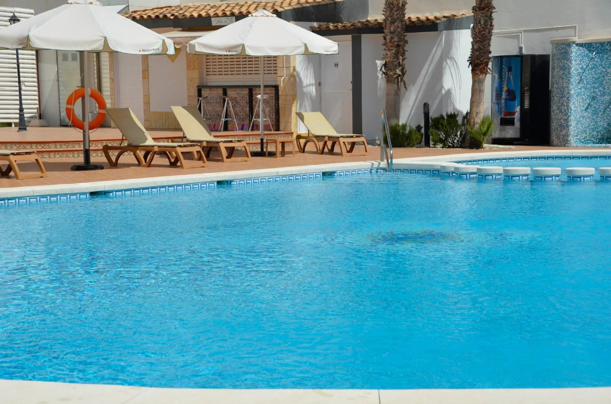 Day in La Familia Gallo Rojo