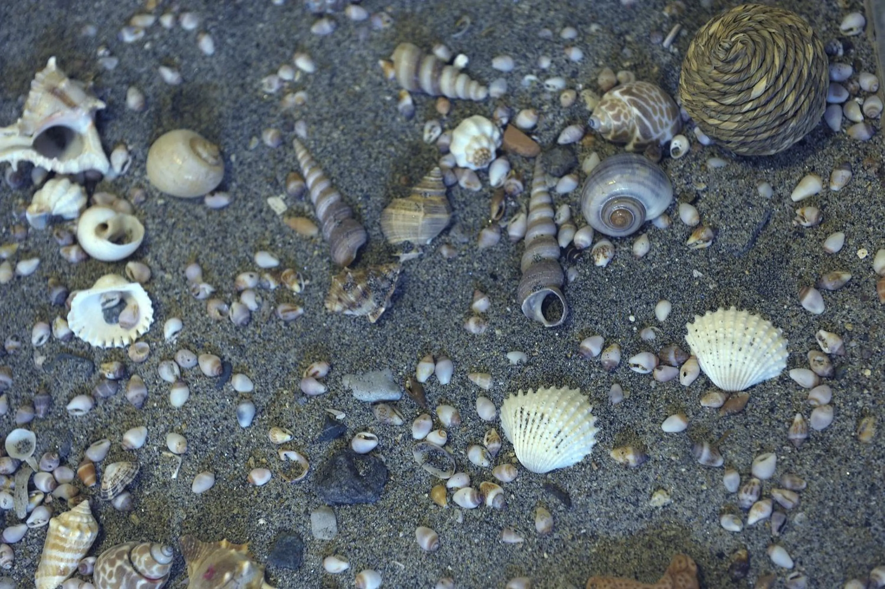 Decorative detail in Almyris