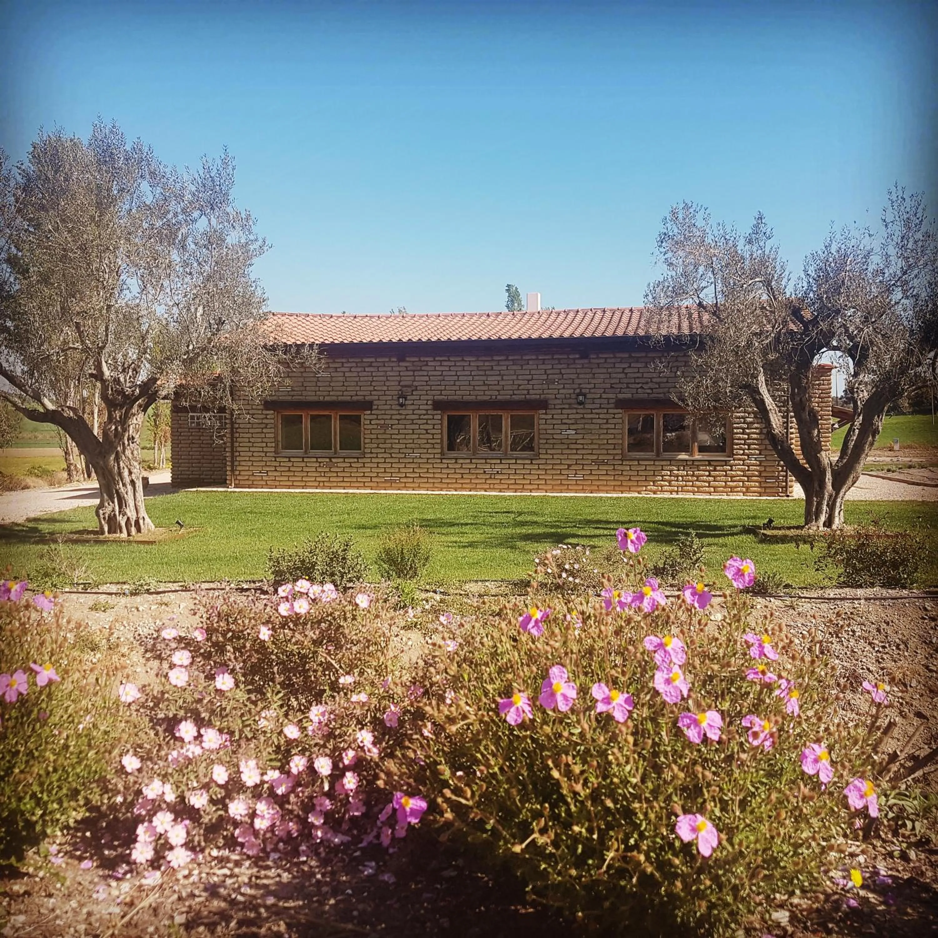 Property building in Agriturismo Podere Farnesiana