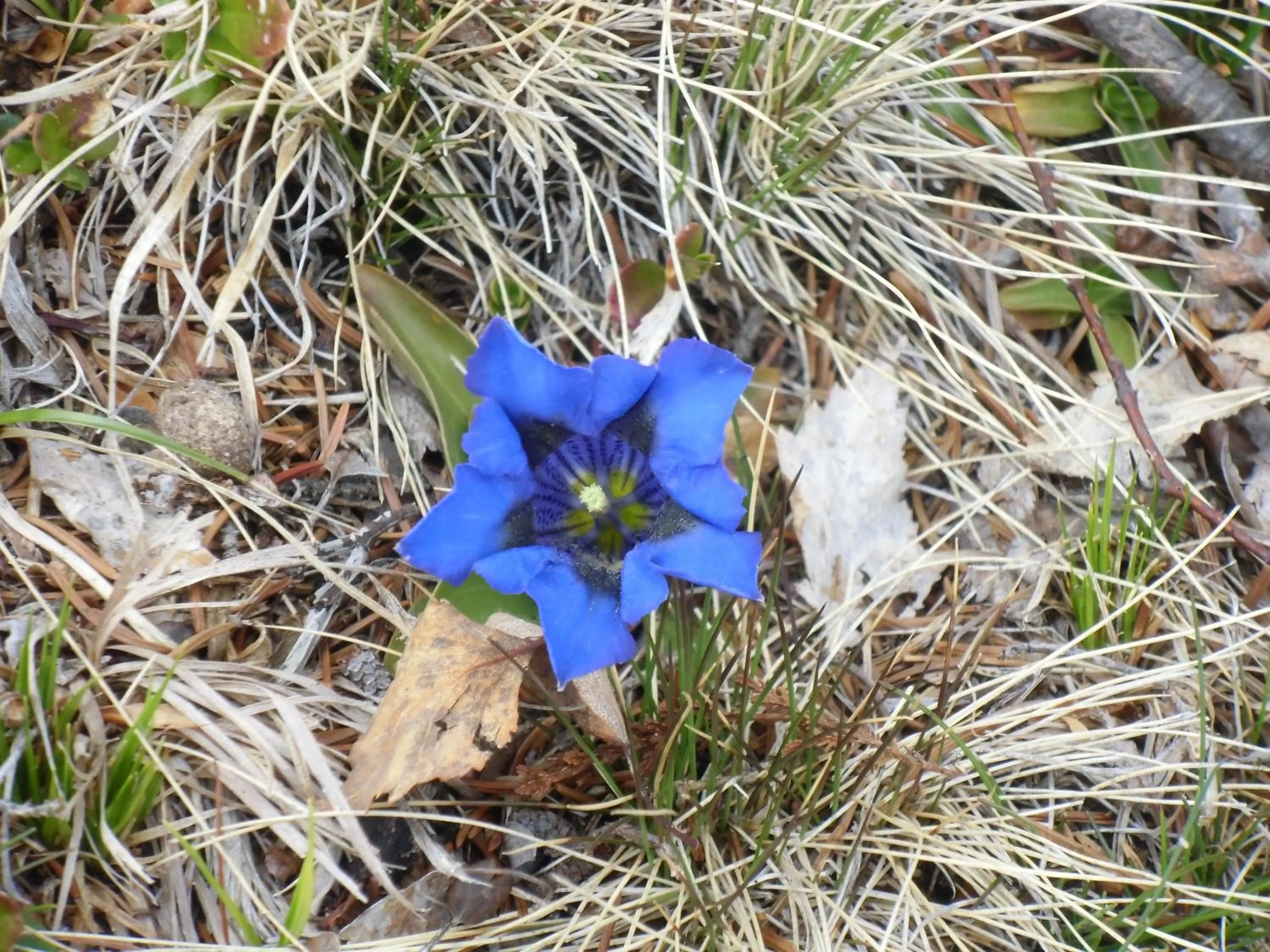 Other in Locanda La Ruscoletta