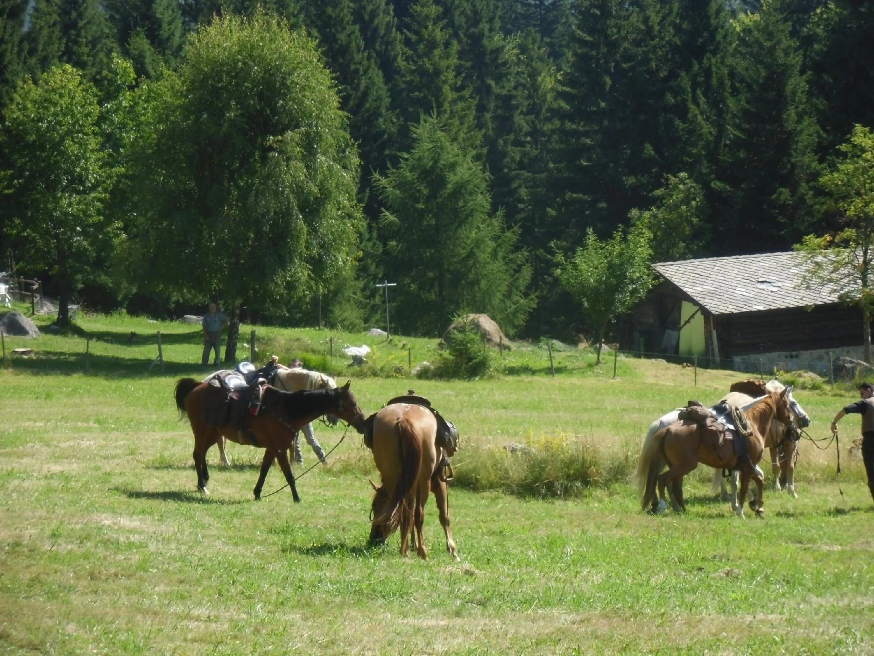 Horse-riding in Locanda La Ruscoletta