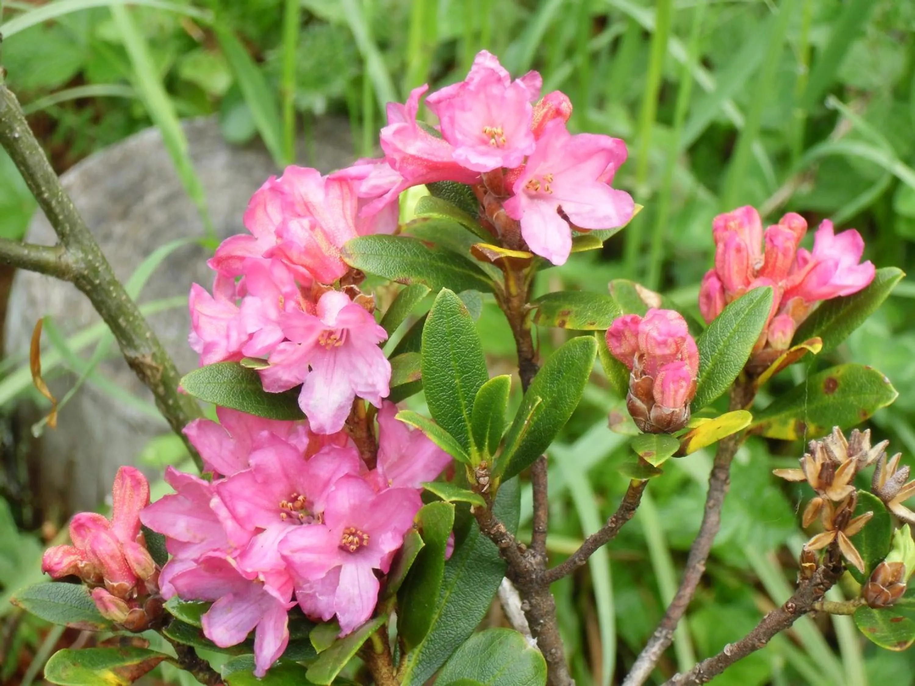 Other in Locanda La Ruscoletta