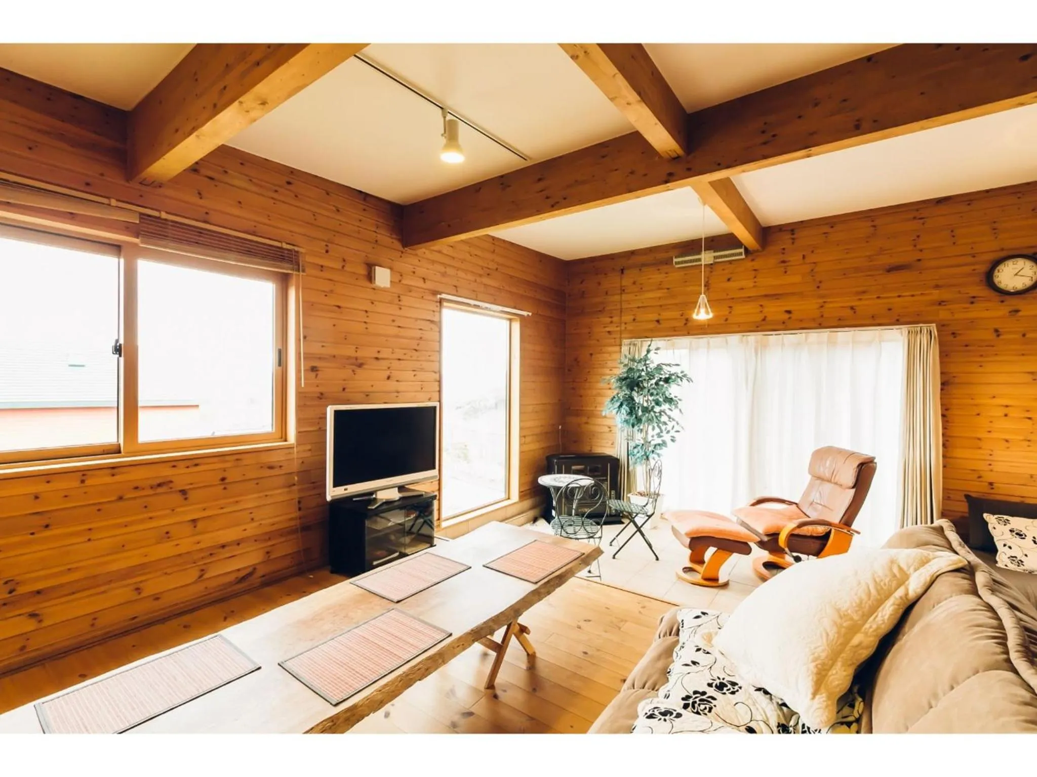 TV and multimedia in LAKE view PRIVATE log house