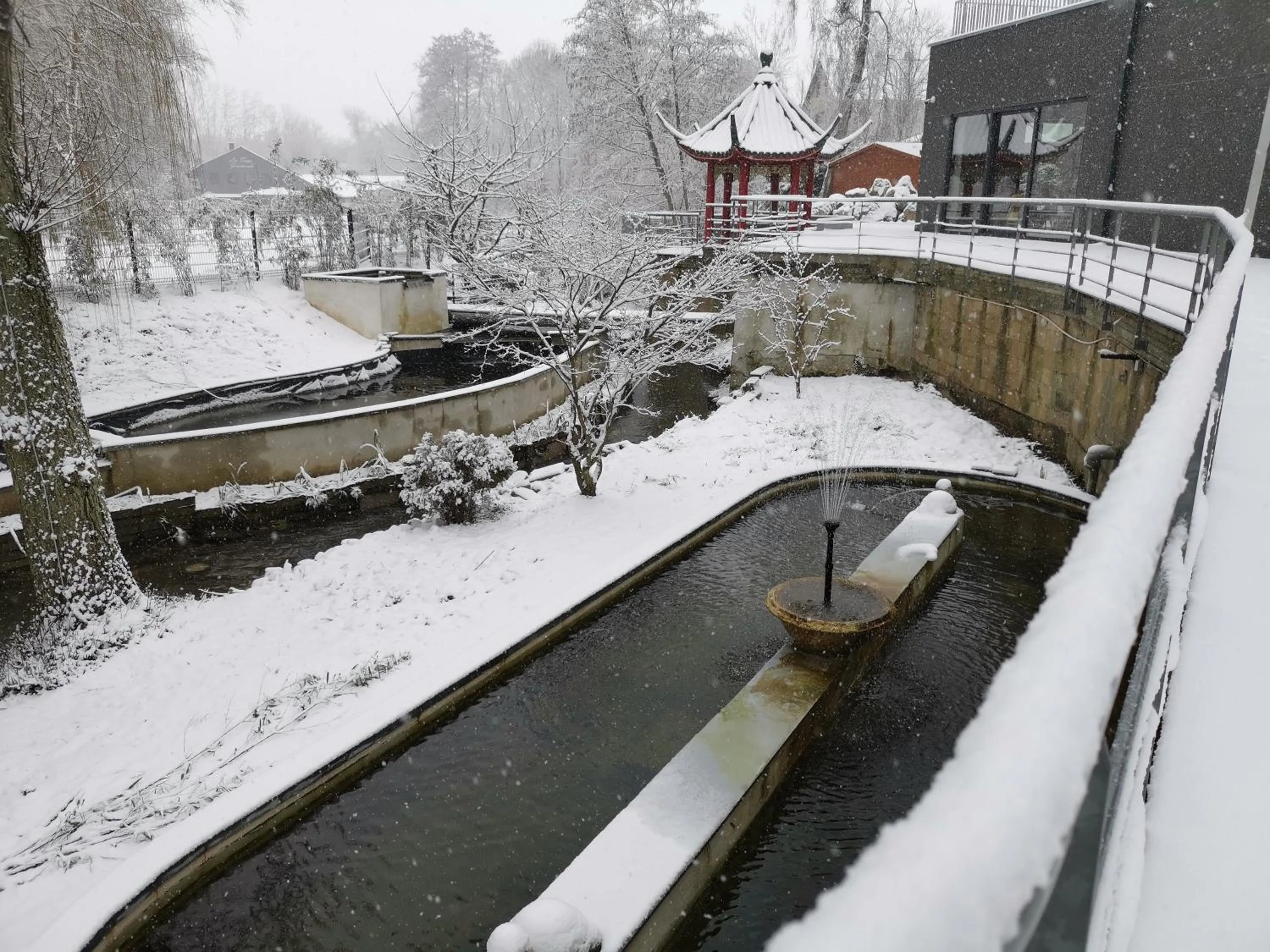Winter in cité impériale ye