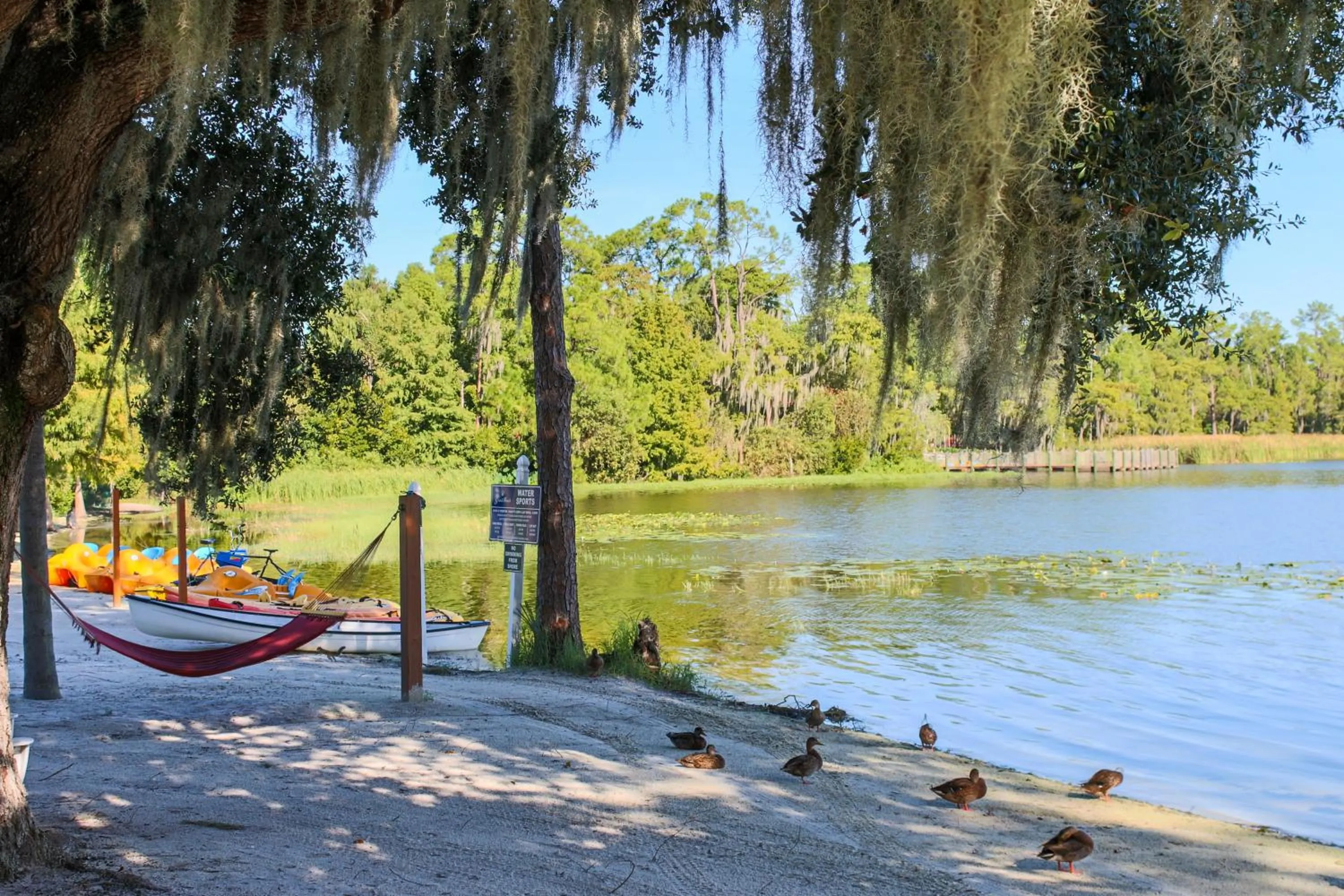 Beach in Hilton Vacation Club Grand Beach Orlando