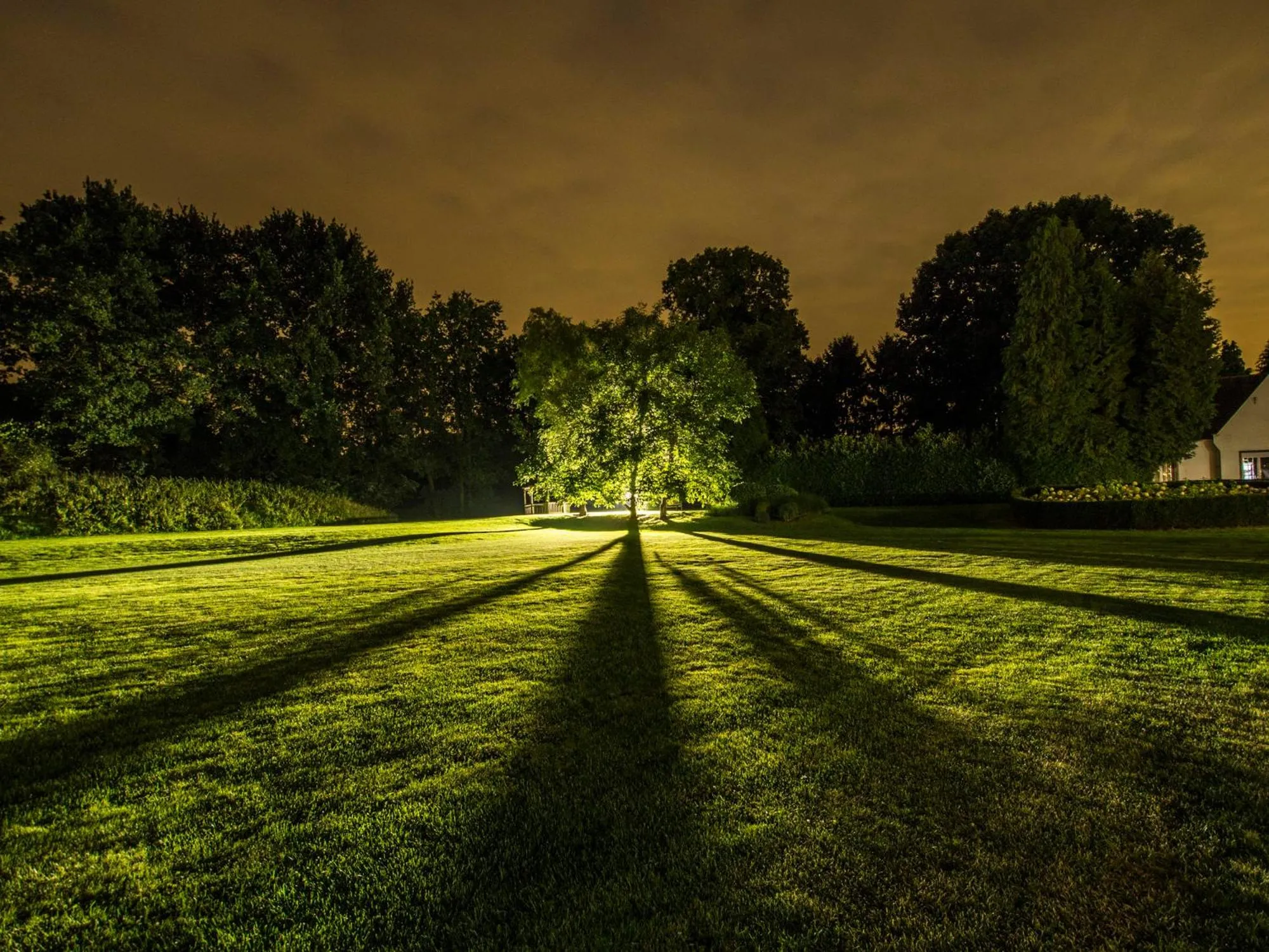Garden in Domein Martinus