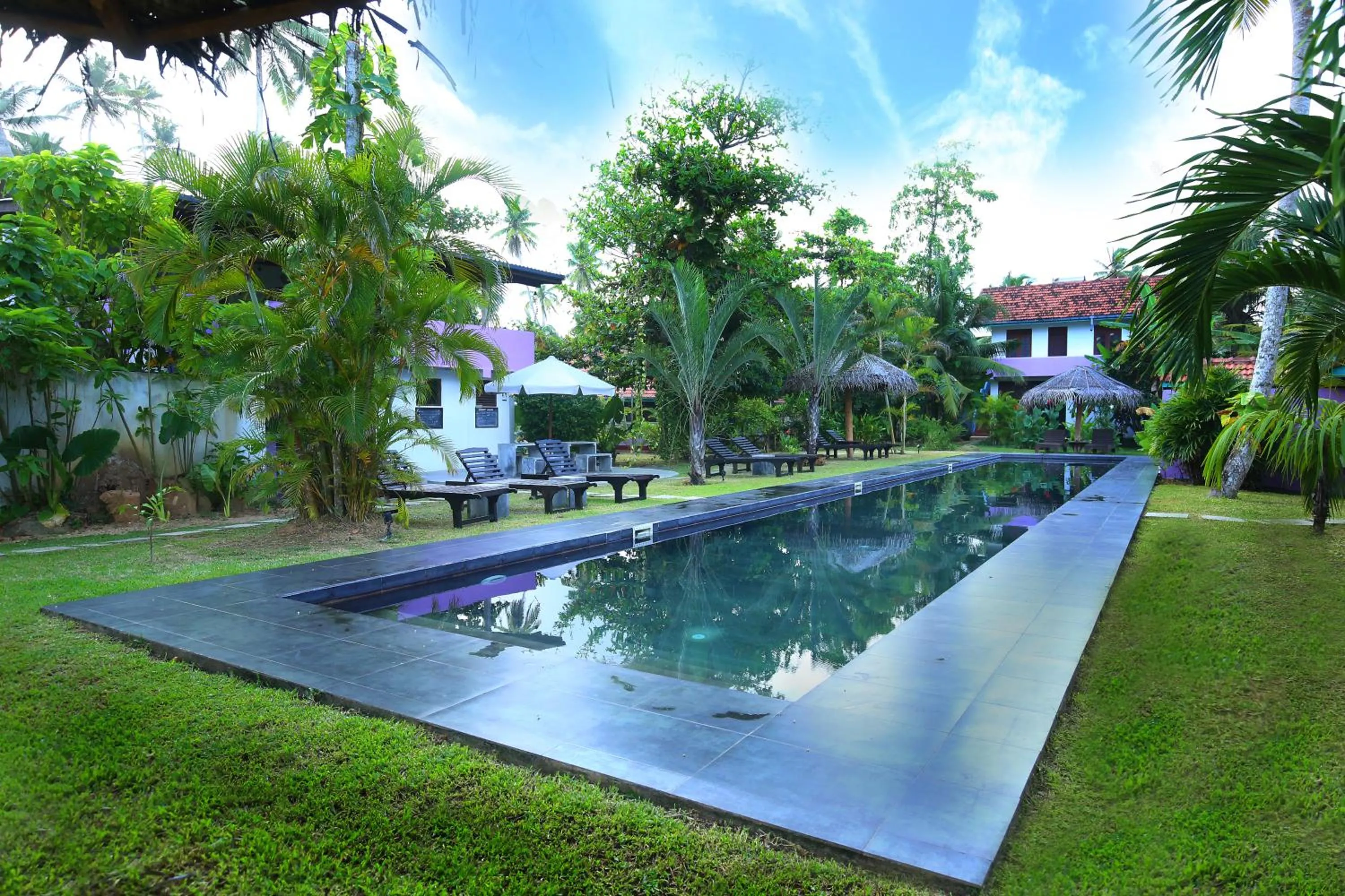 Swimming pool in Turtle Eco Beach