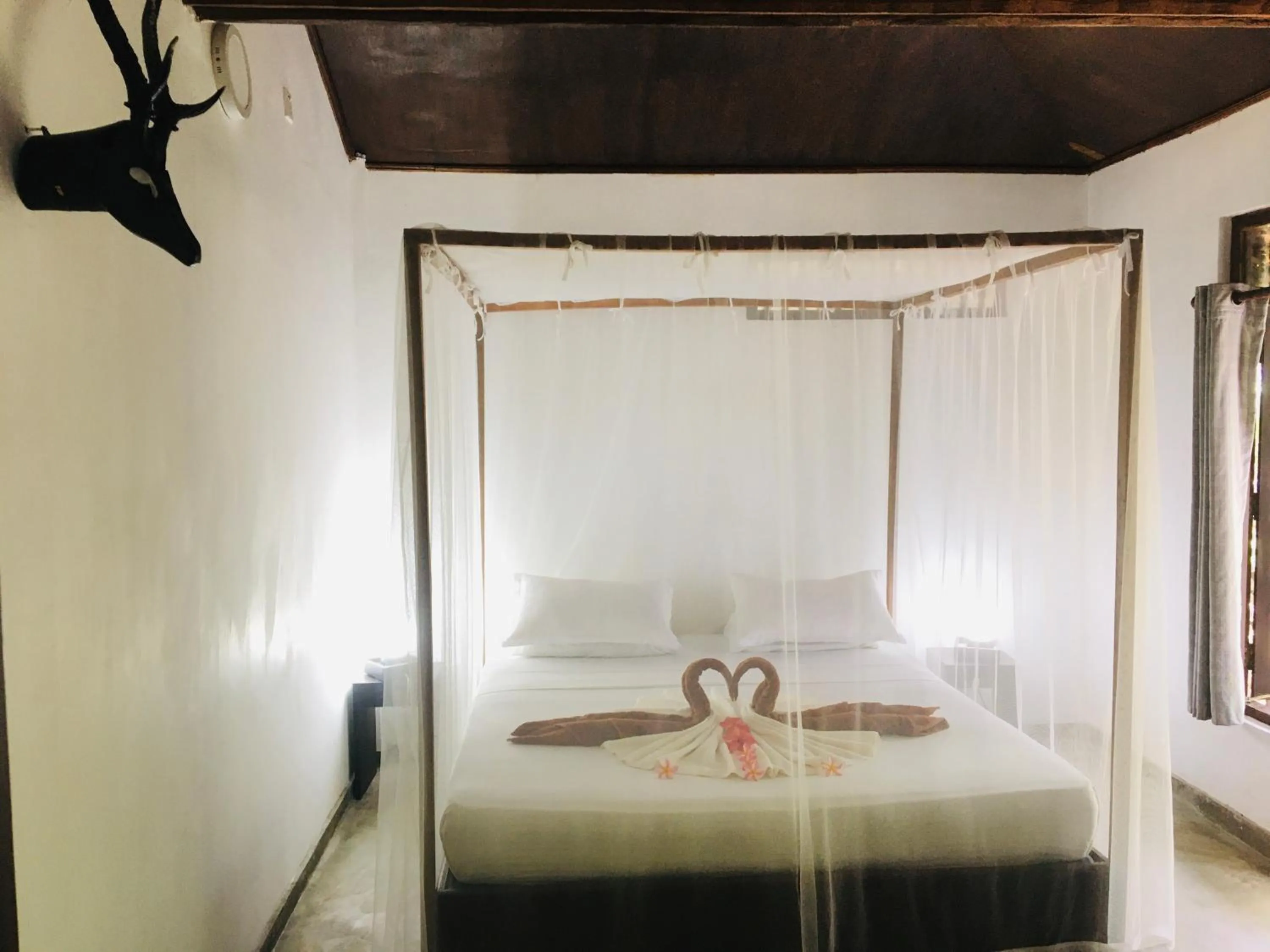 Bed in Turtle Eco Beach