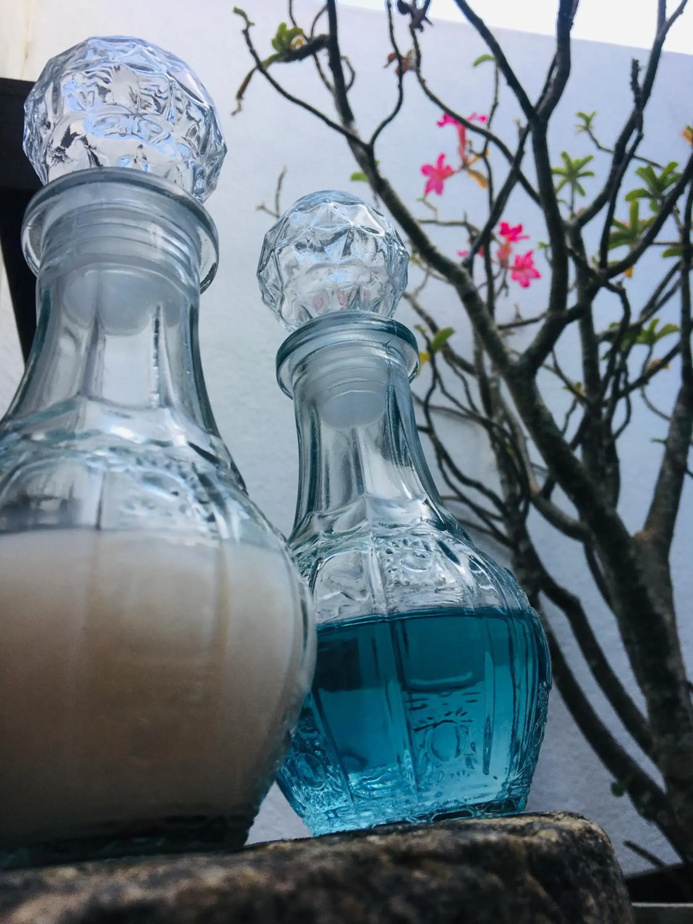 Family Suite in Turtle Eco Beach Family Suite in Turtle Eco Beach