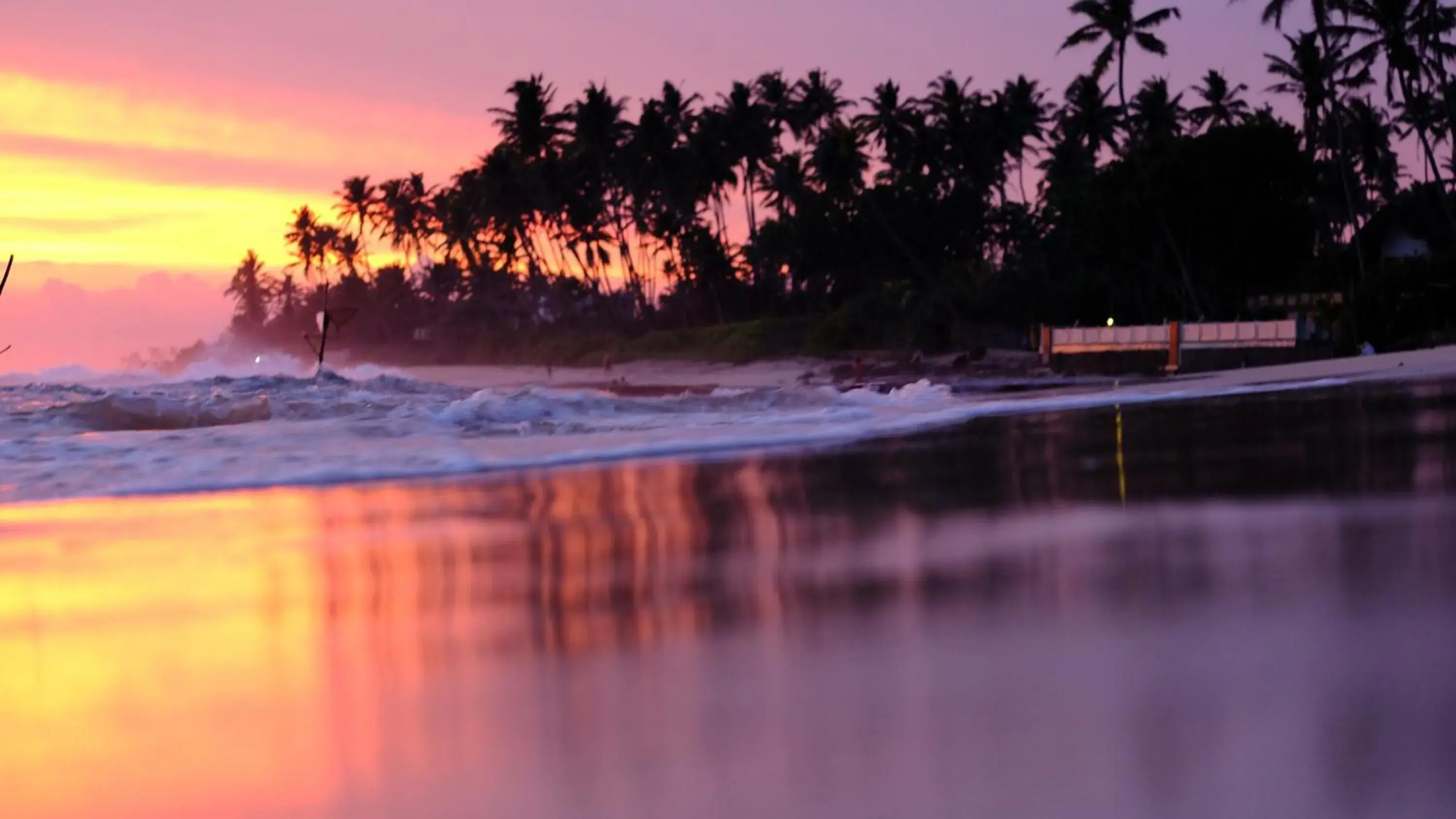 Single Room in Turtle Eco Beach Single Room in Turtle Eco Beach