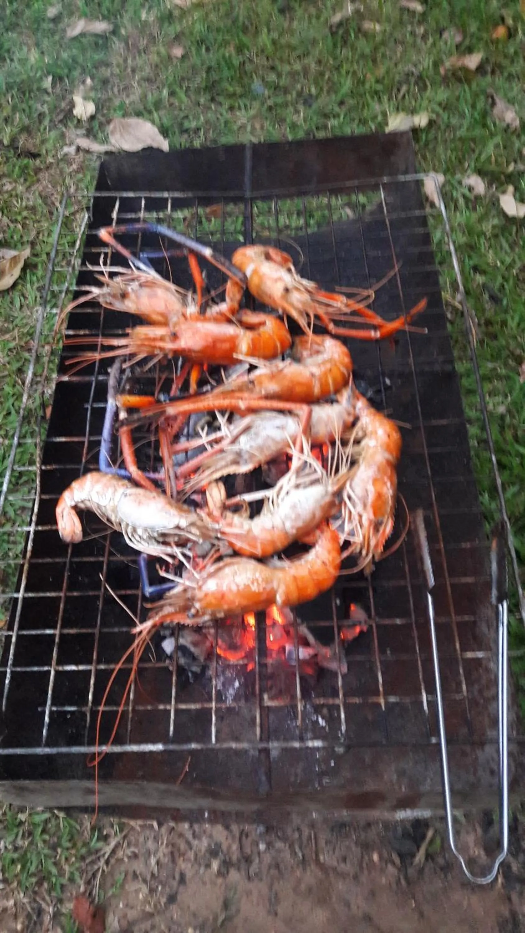 Vang Vieng Eco Lodge