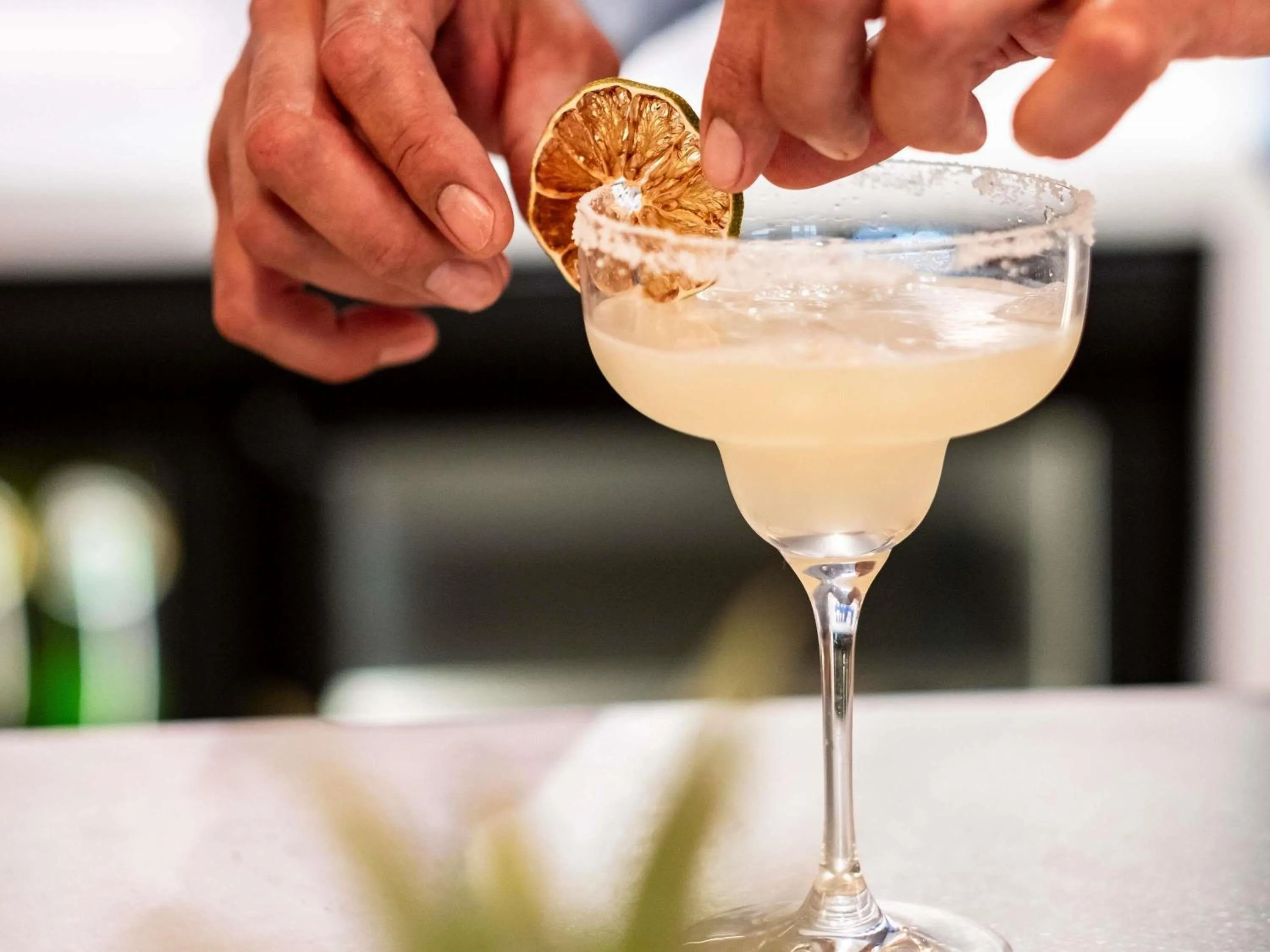 Lounge or bar in Mercure Quiberon Hotel