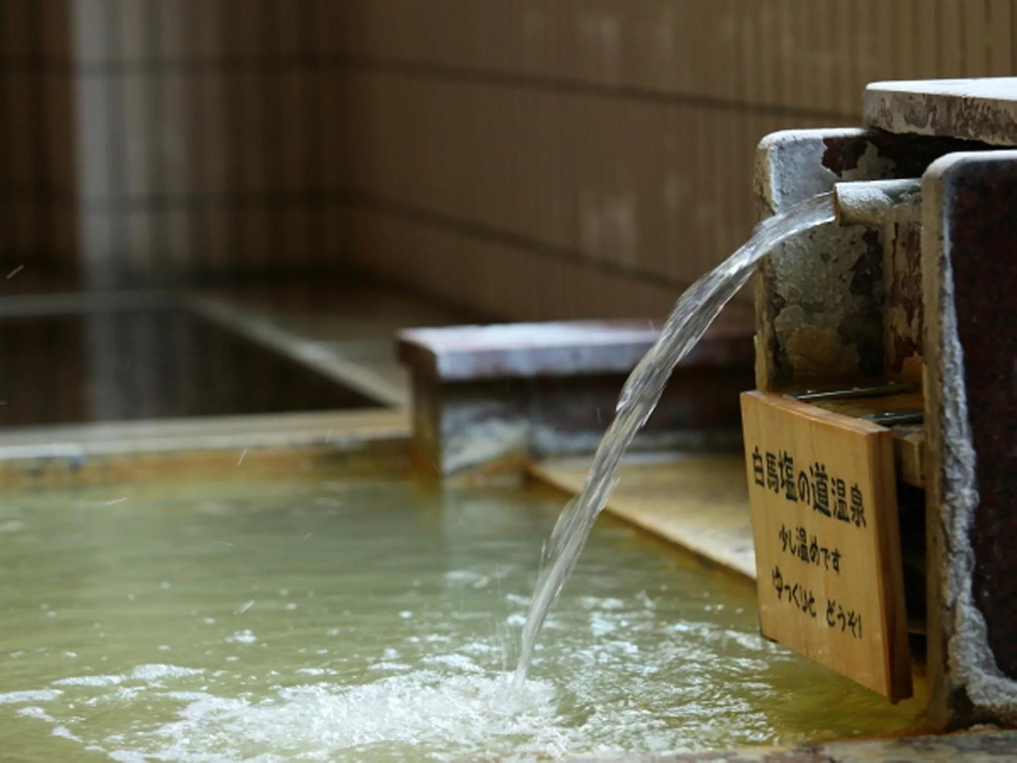 Hot Spring Bath in Hotel Yume-no-yu