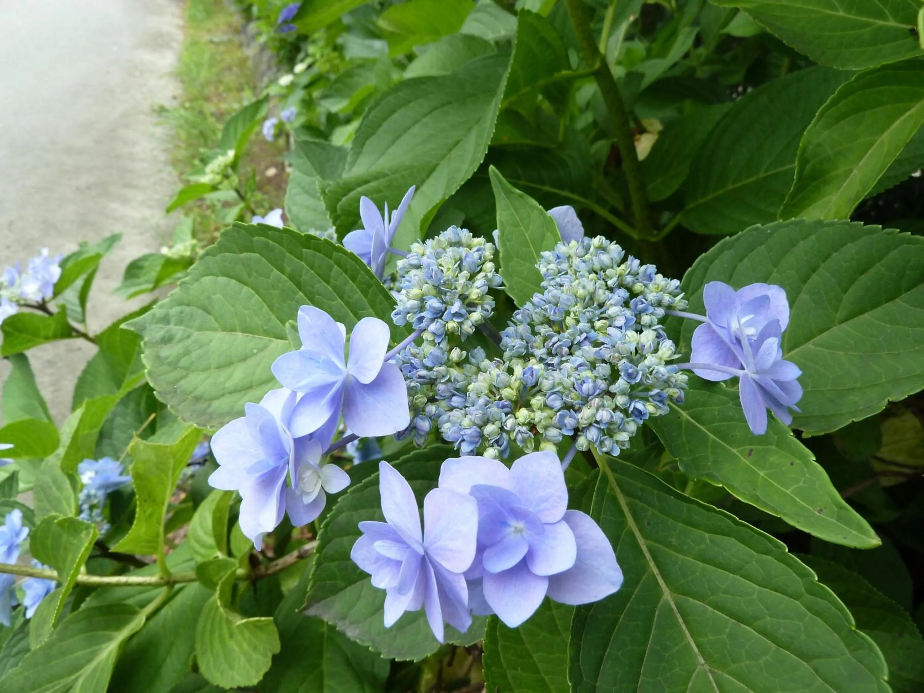 Other in Hotel Yume-no-yu