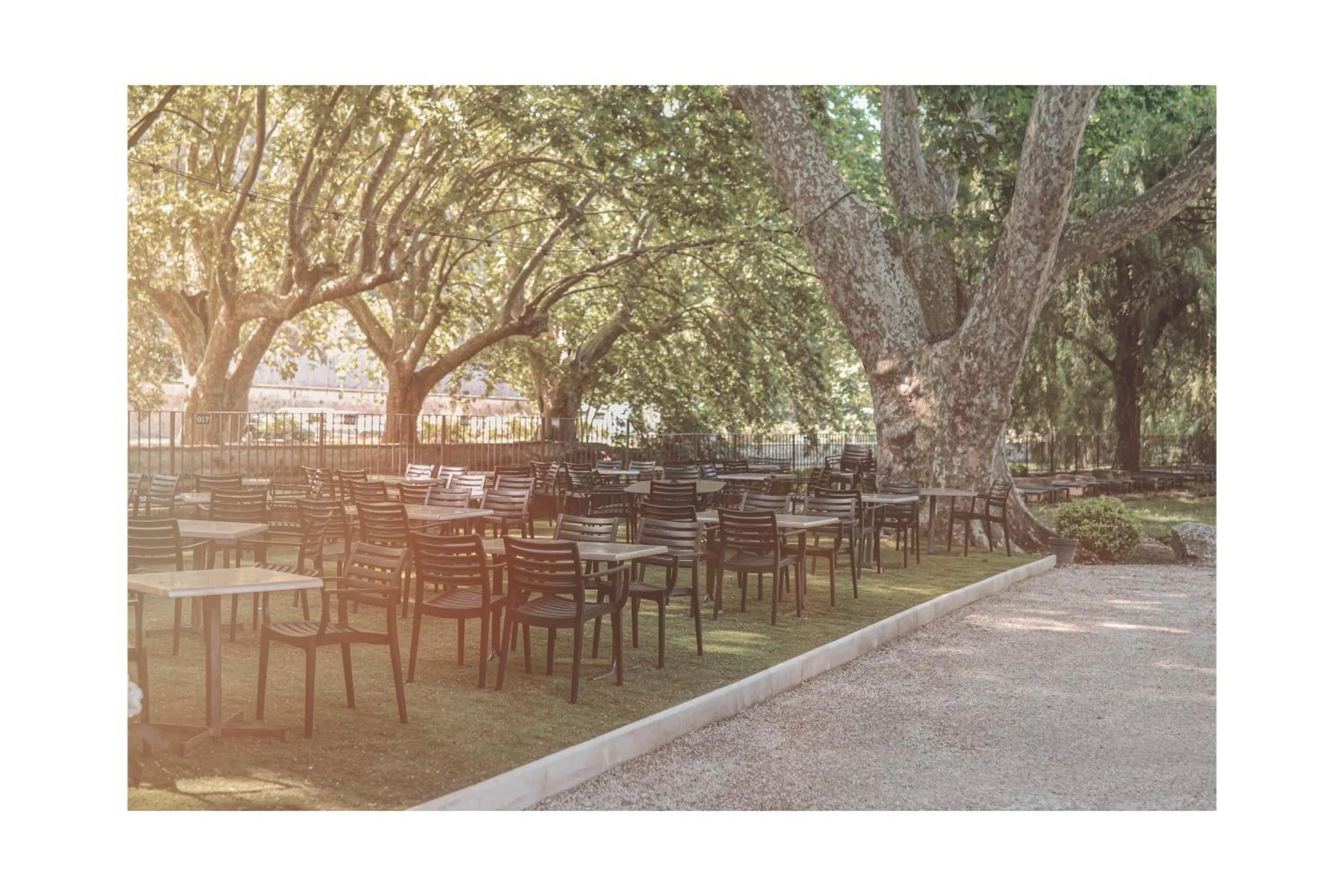 Restaurant/places to eat in Logis Hôtel Restaurant du Parc