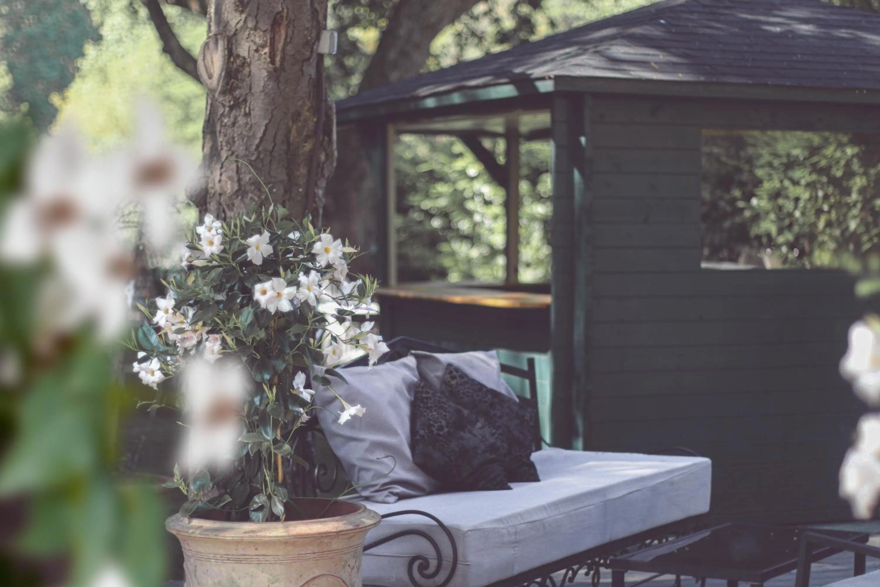 Garden in Logis Hôtel Restaurant du Parc