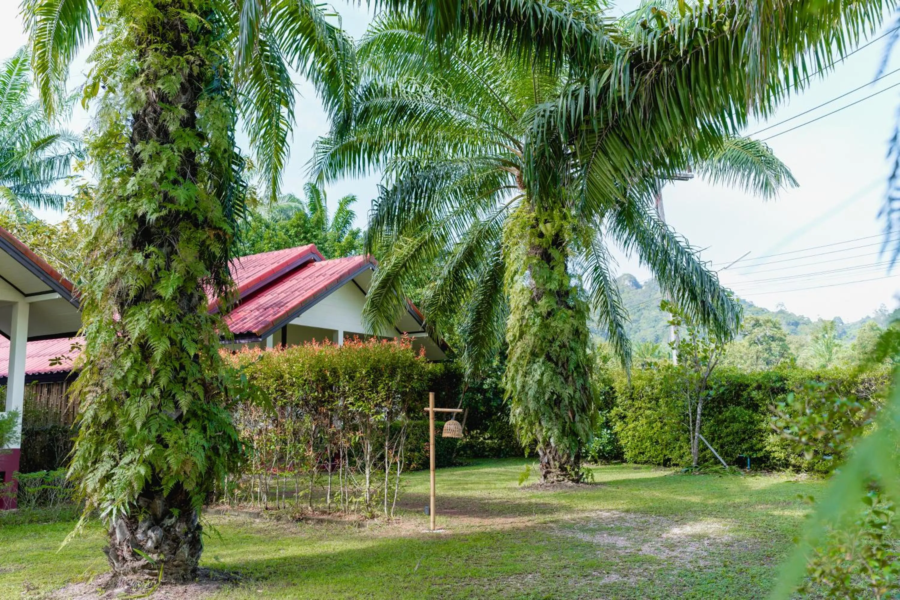 Inner courtyard view in Green Garden House