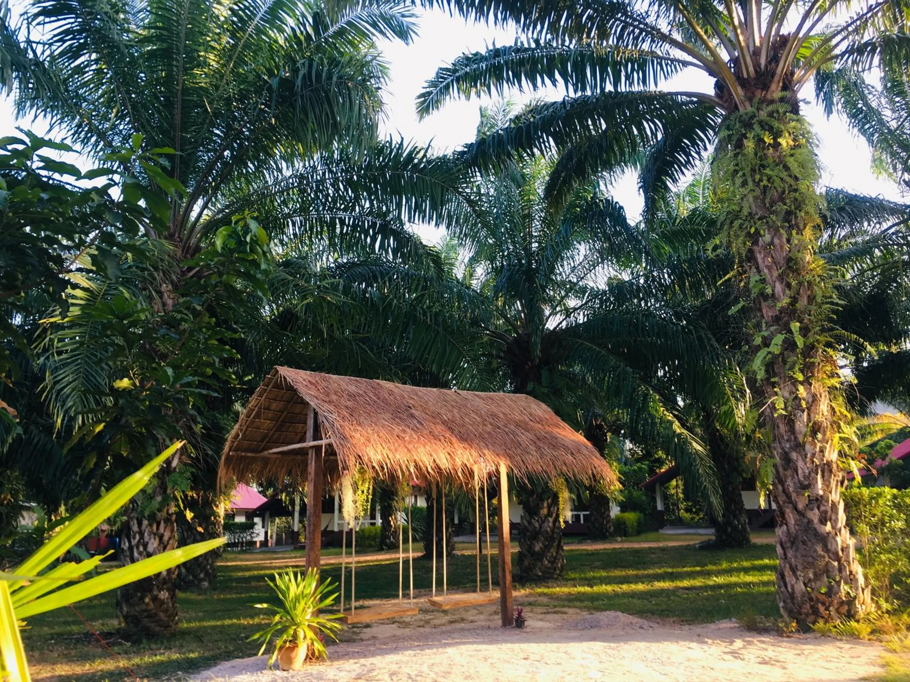Garden in Green Garden House