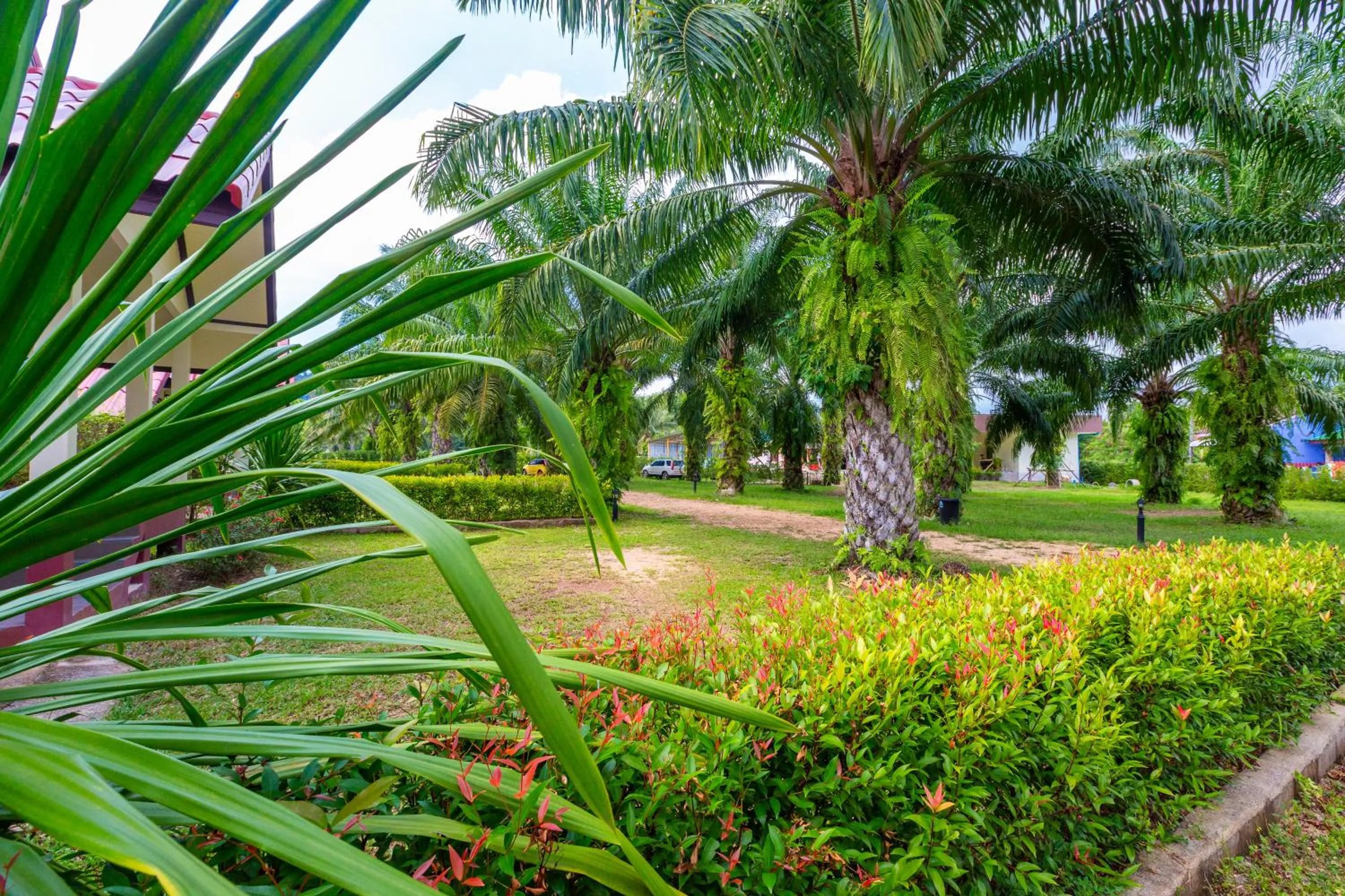Garden in Green Garden House
