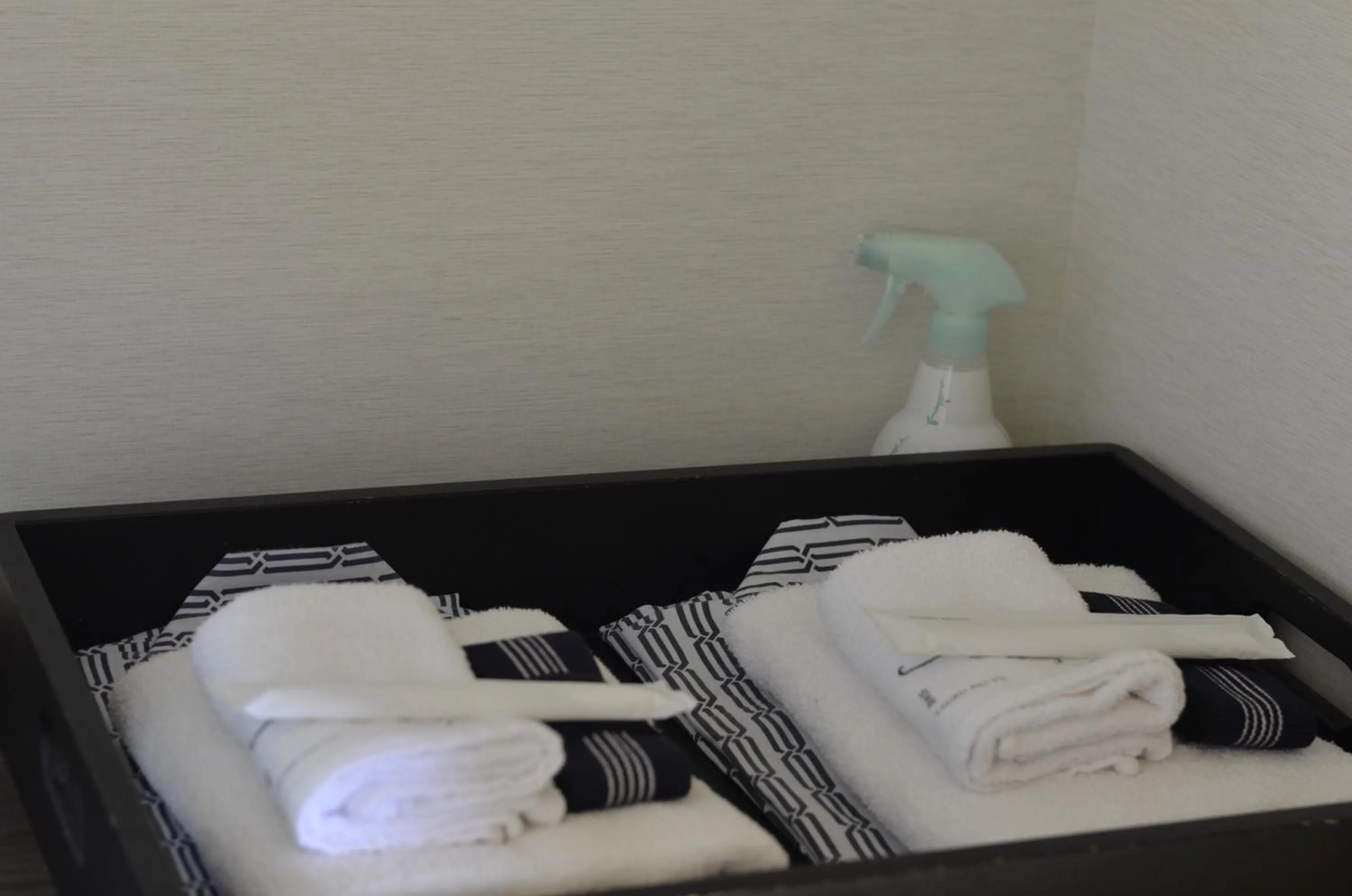 Area and facilities in Yufuin Tsuru no Yu