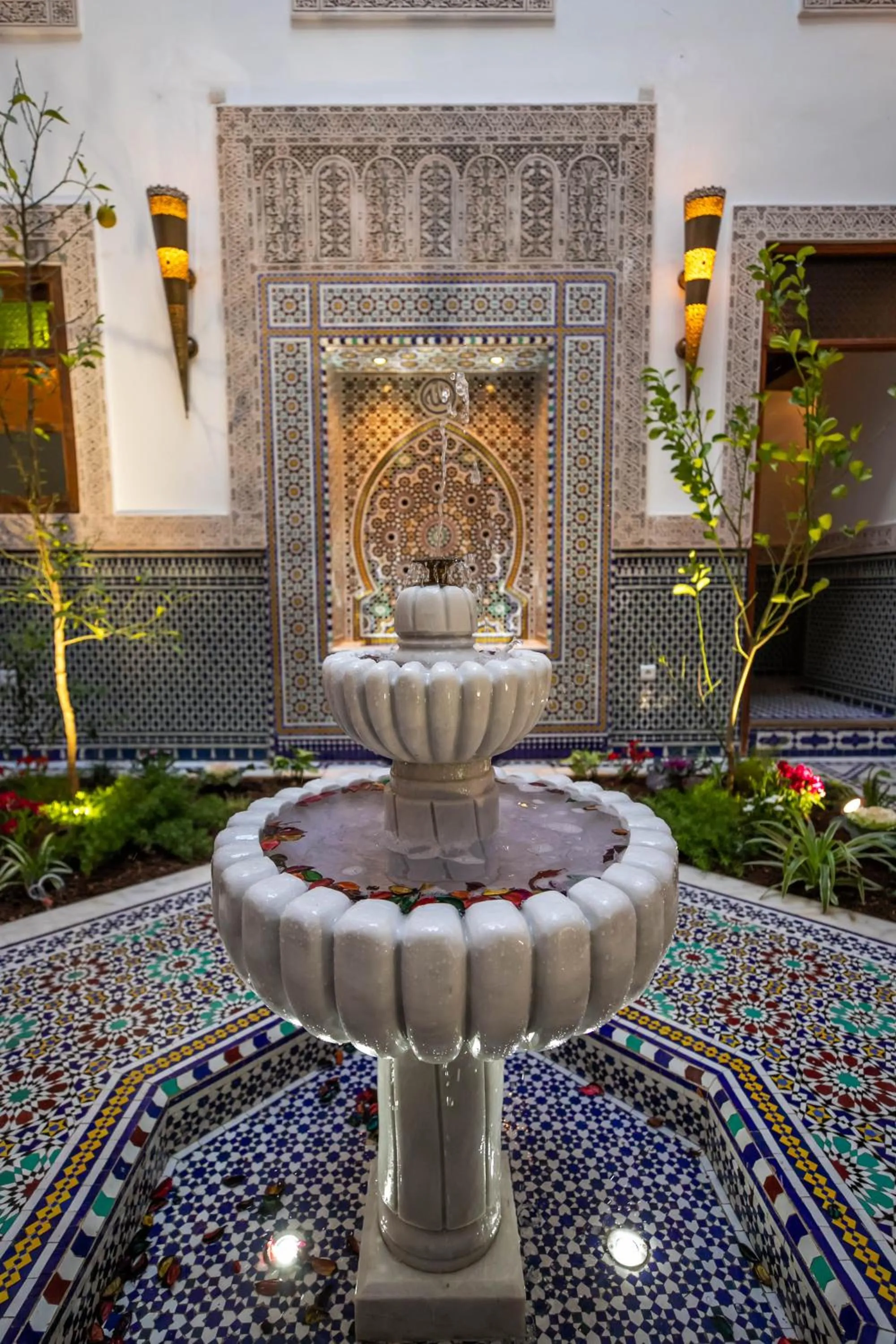 Garden in Riad Sidrat Fes
