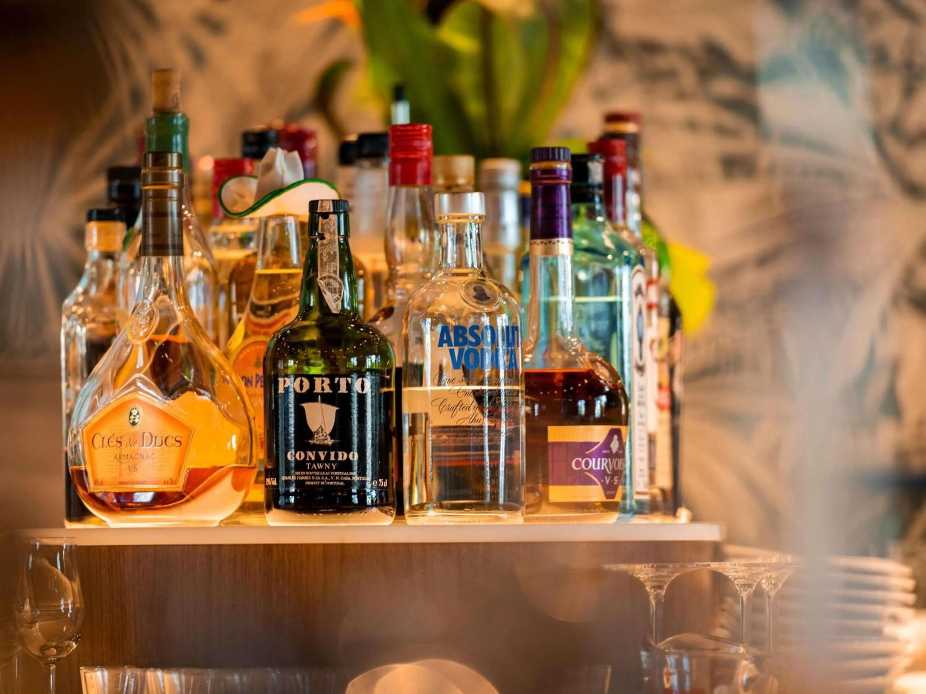 Lounge or bar in Novotel Convention And Spa