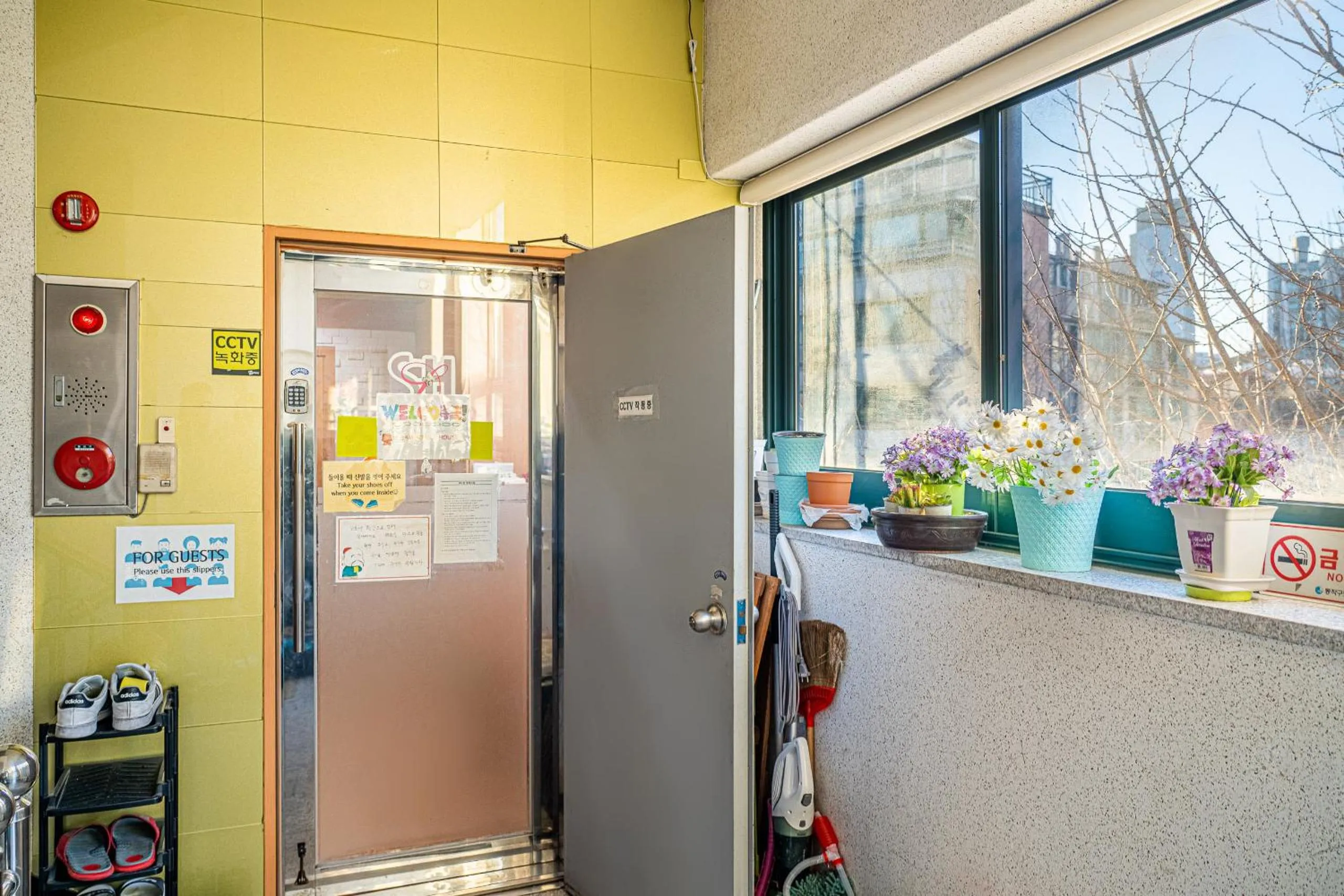 Property building in Dream Single House