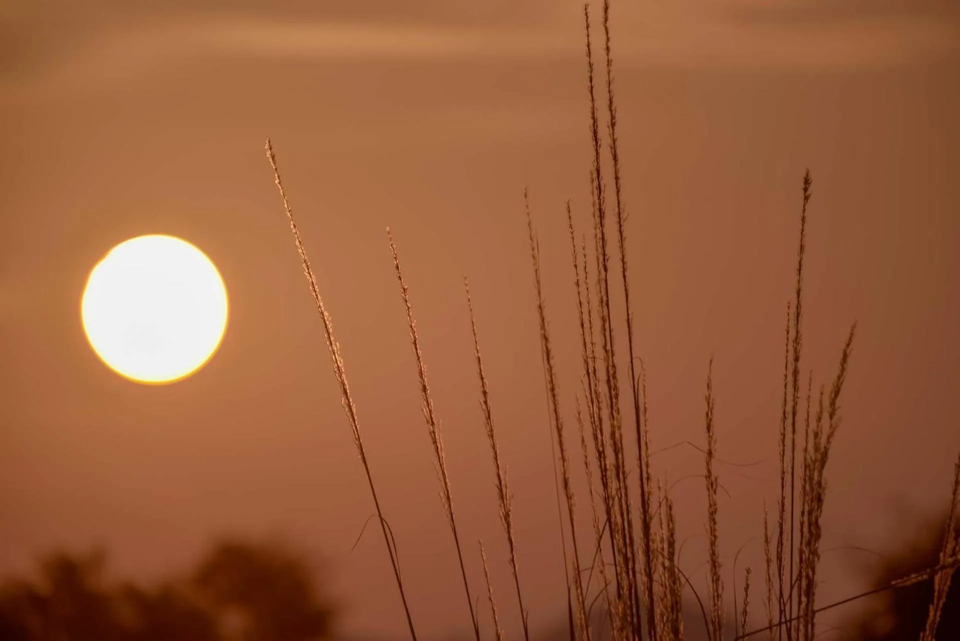 View (from property/room) in Camp Lands End