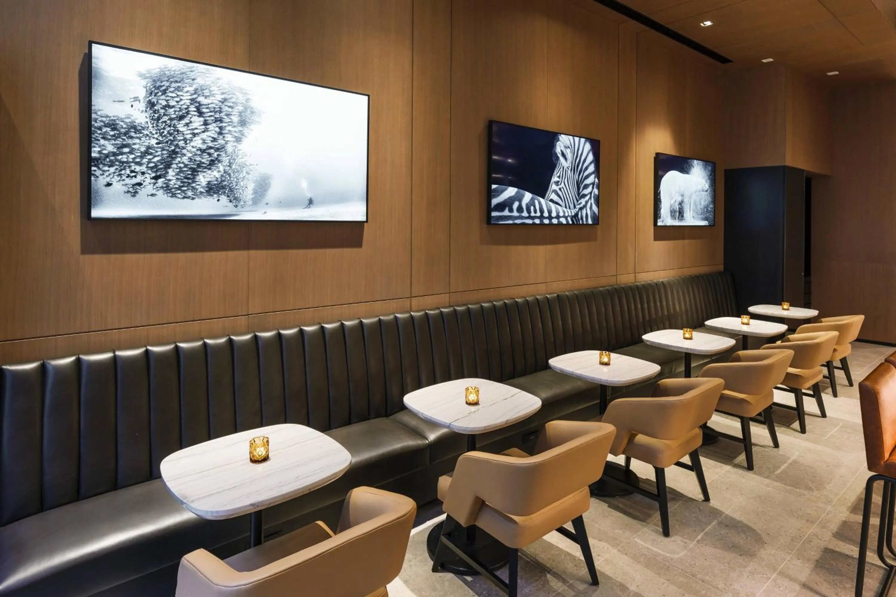 Lounge or bar in AC Hotel by Marriott Washington DC Downtown