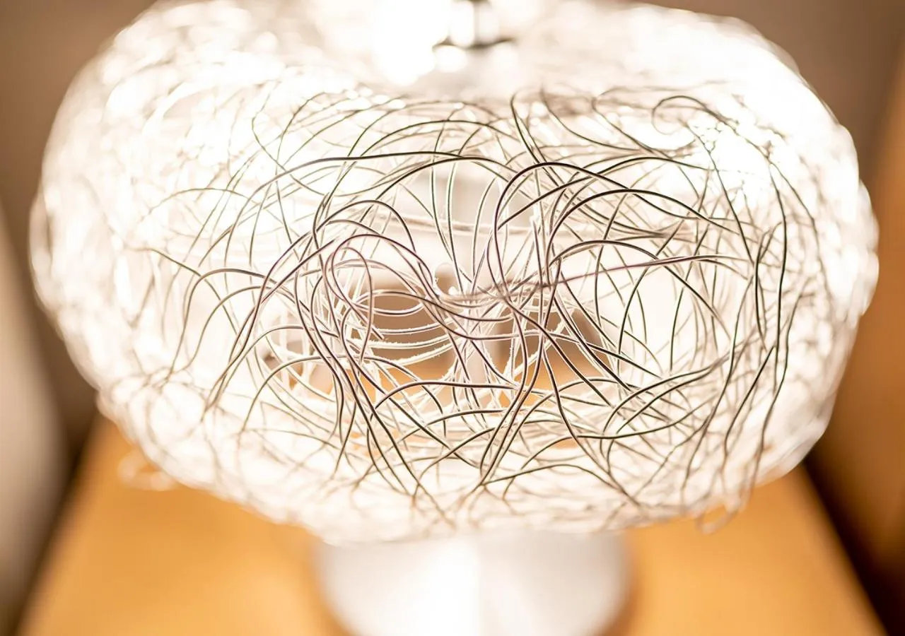 Photo of the whole room in Hotel day by day