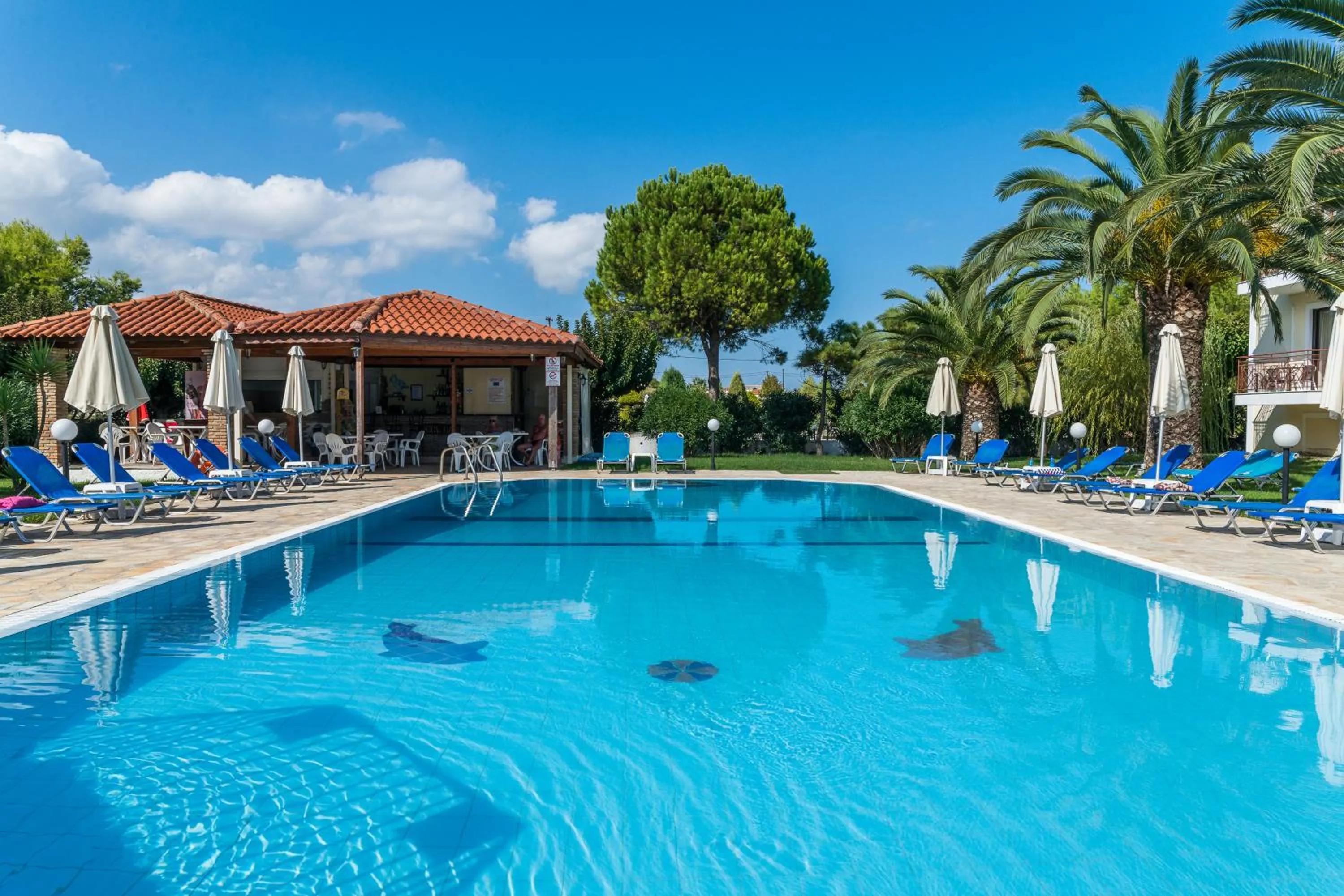 Swimming pool in Kalidonio Studios Zante
