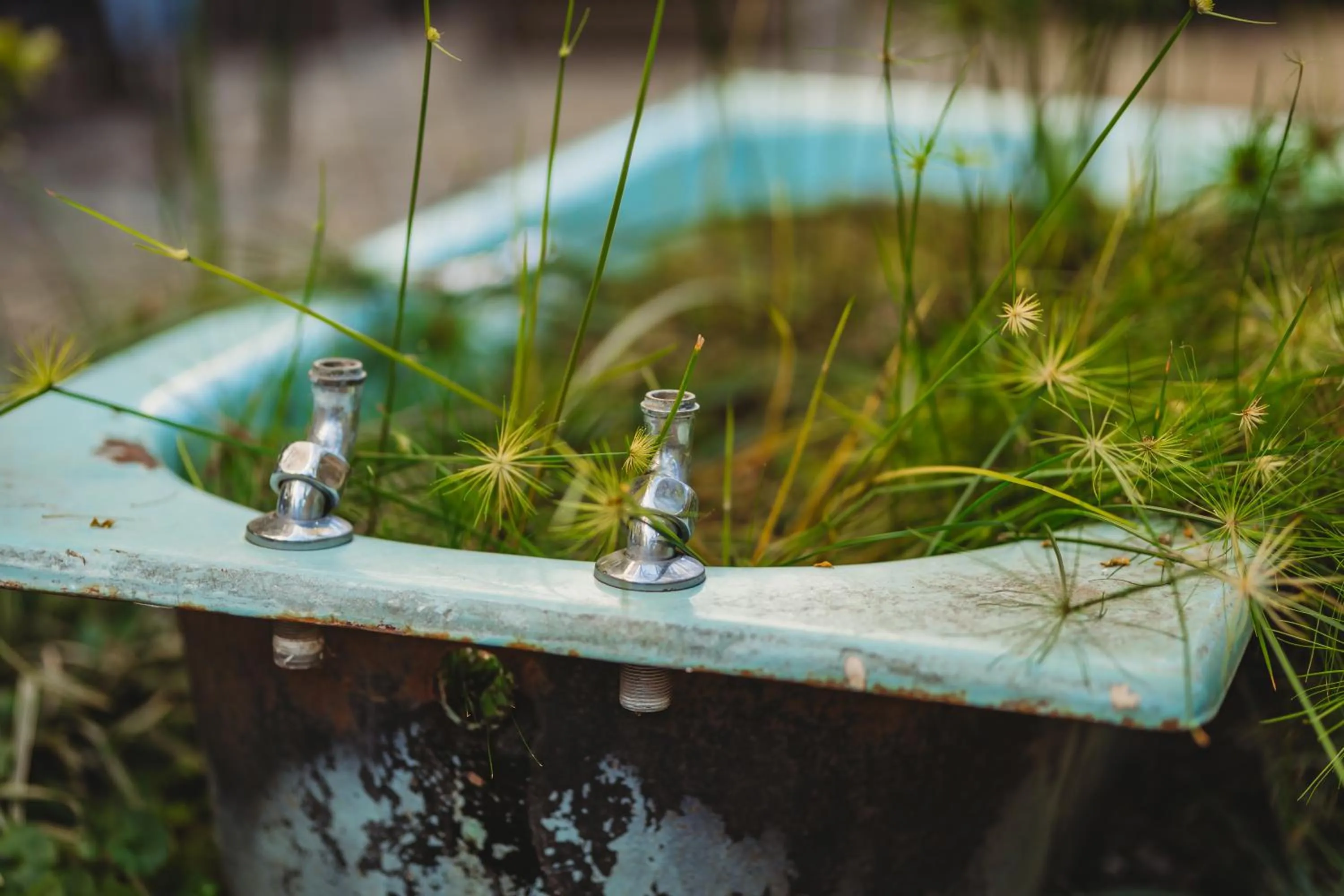 Garden in 17onWellington Apartments