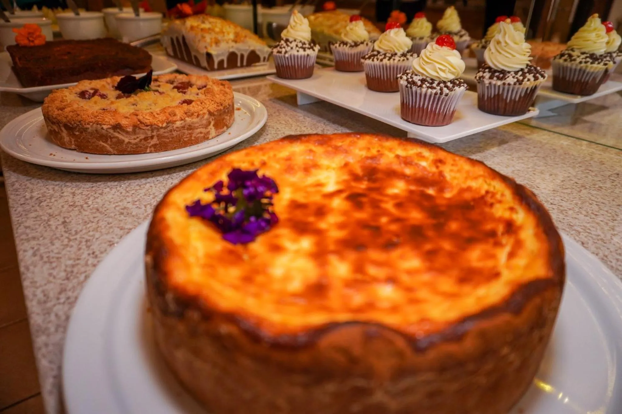 Hotel Vovó Carolina