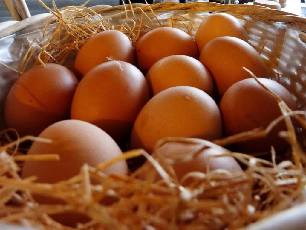 Other in Hôtel Restaurant des Grottes du Pech Merle