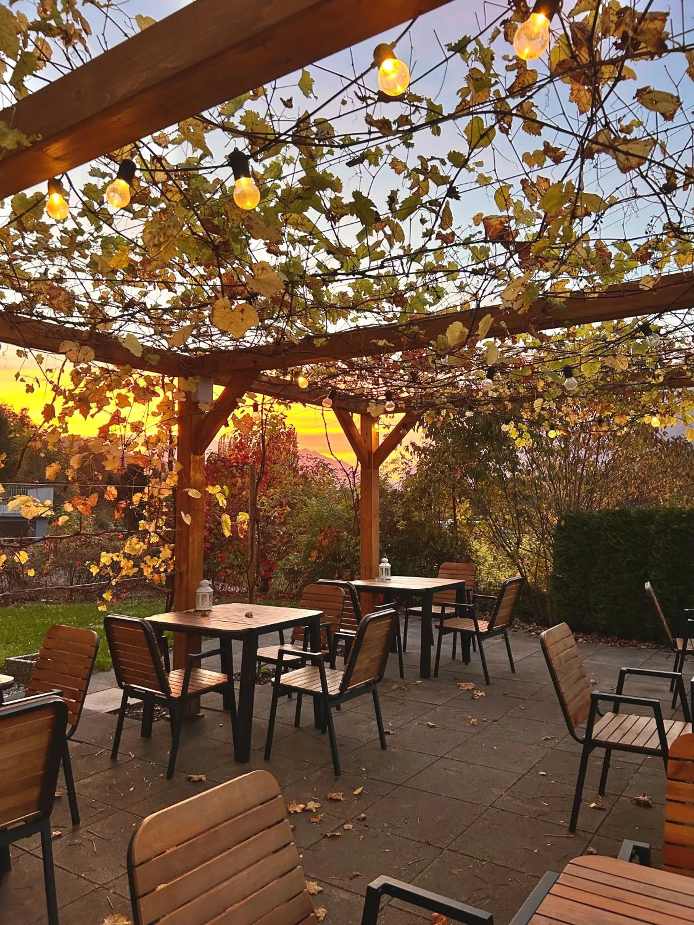 Patio in Hostel Marmota