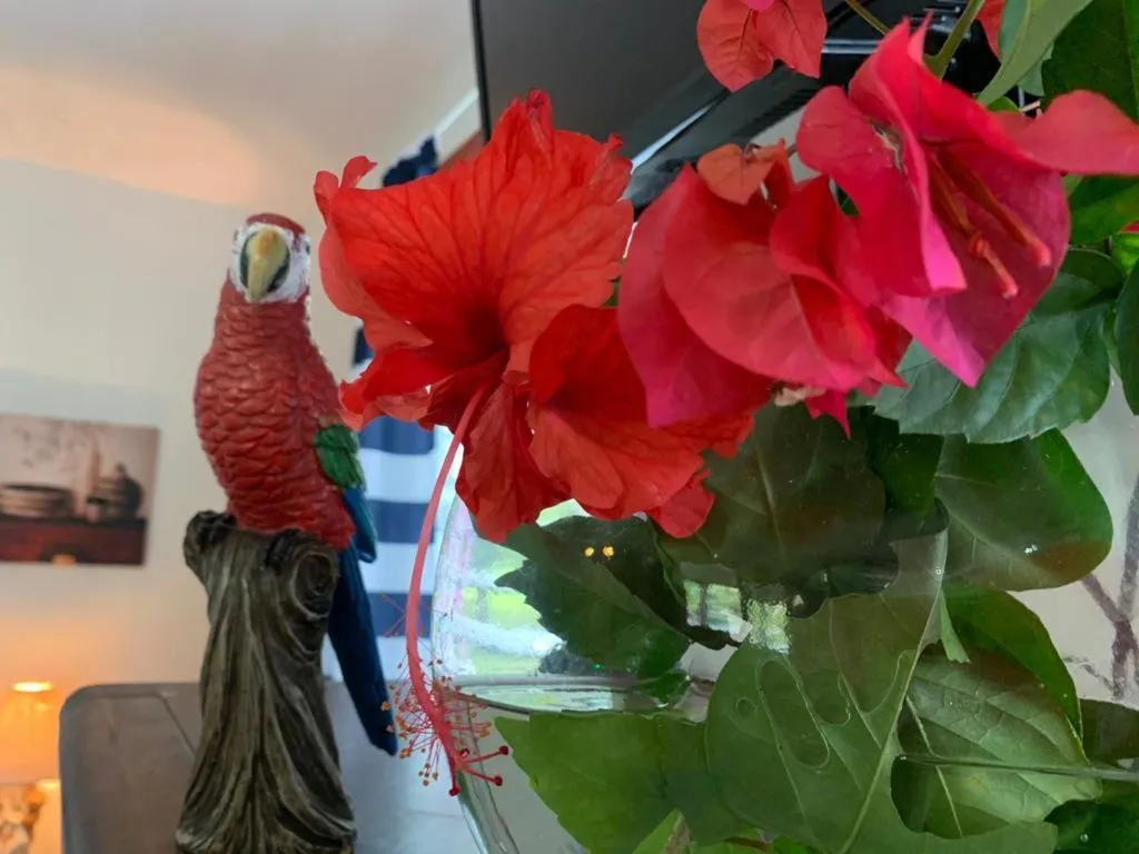 Property building in River Bend Resort Bze