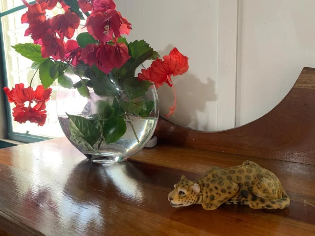 River Bend Resort Bze