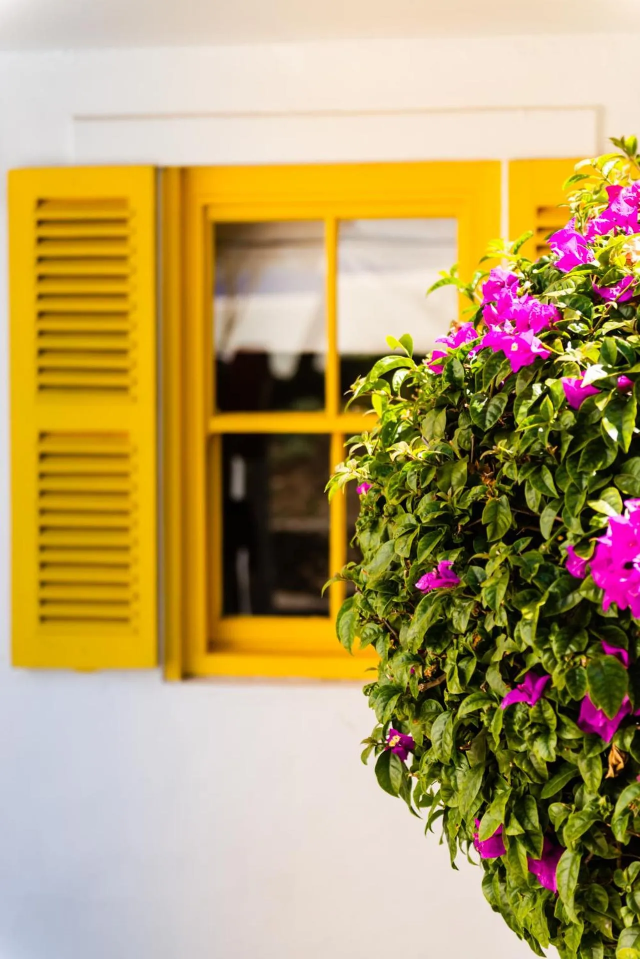 Club Mykonos Langebaan