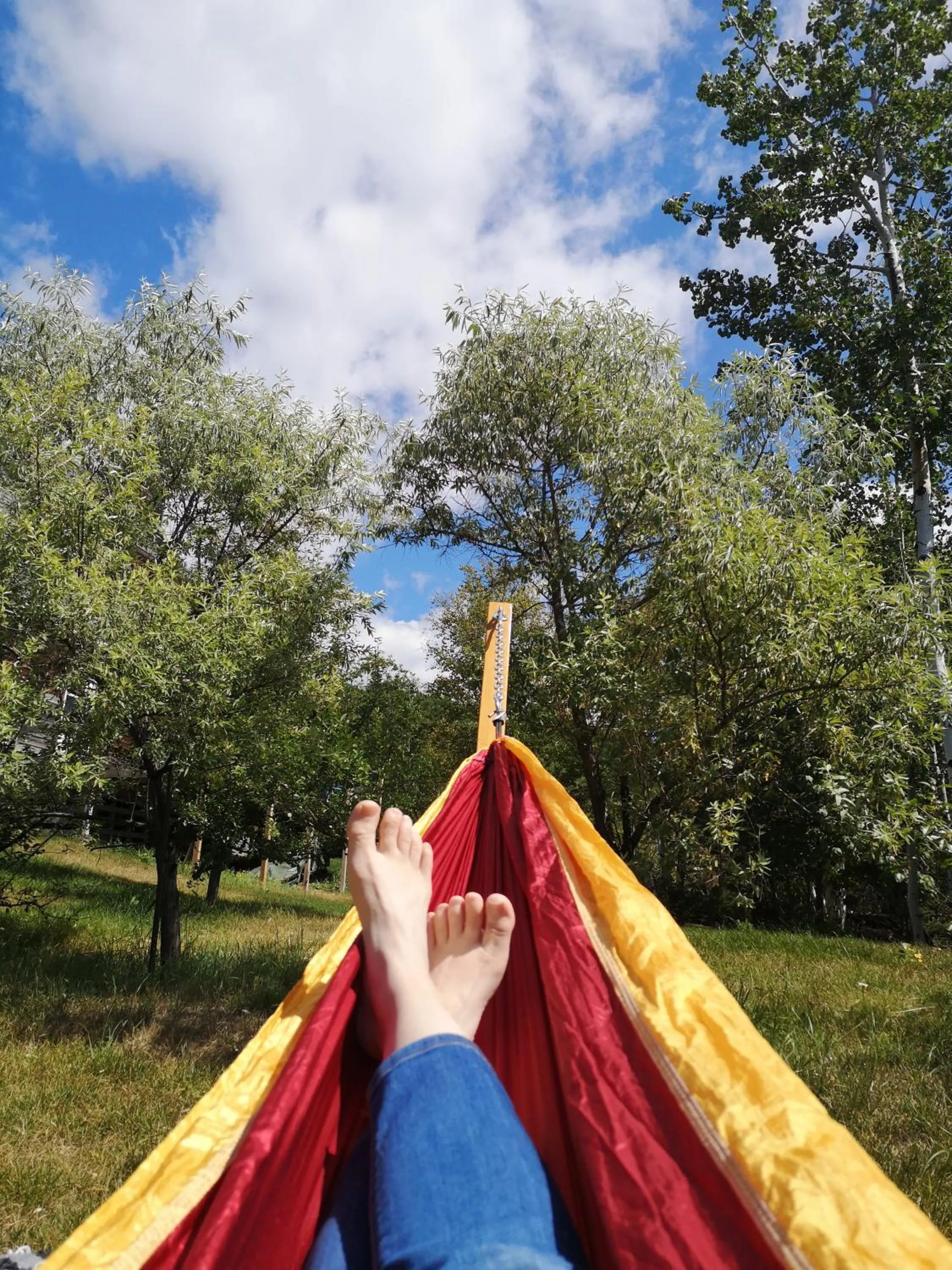 Garden in Au Cachalot Caché le gîte hôtel