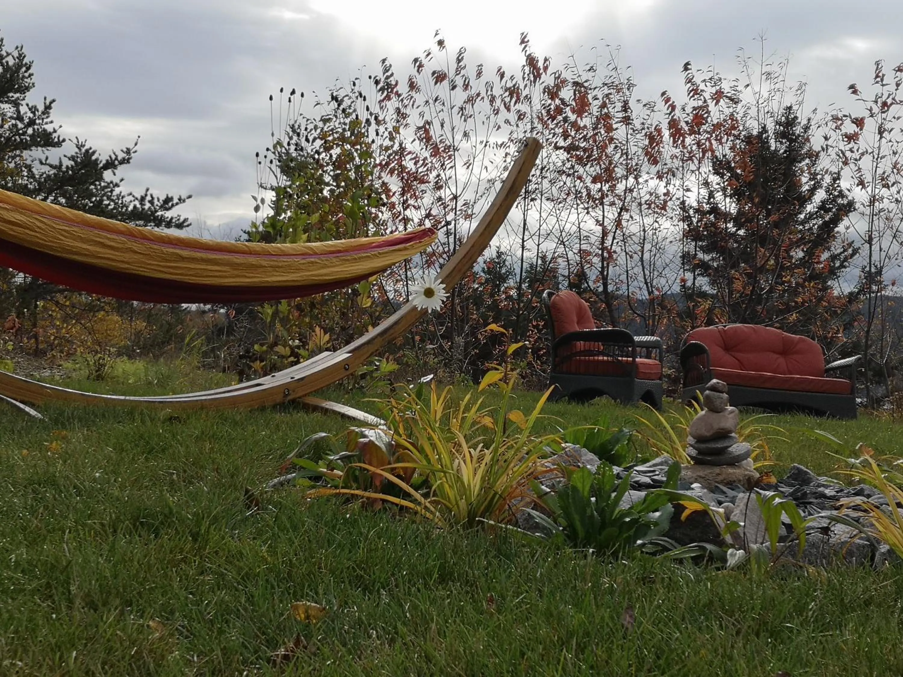 Garden in Au Cachalot Caché le gîte hôtel