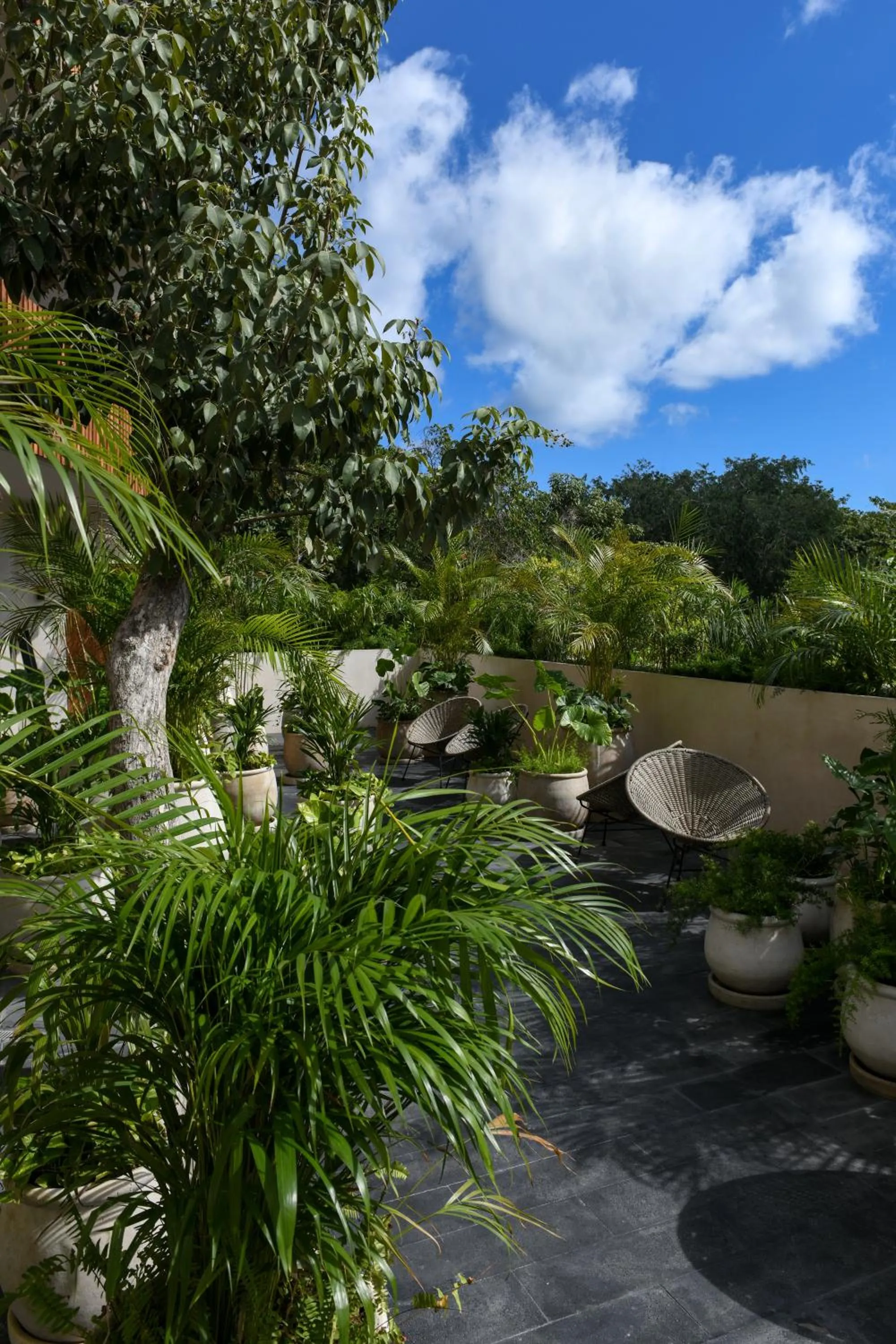 Garden in Casa Agape Hotel Tulum with Beach Club Access
