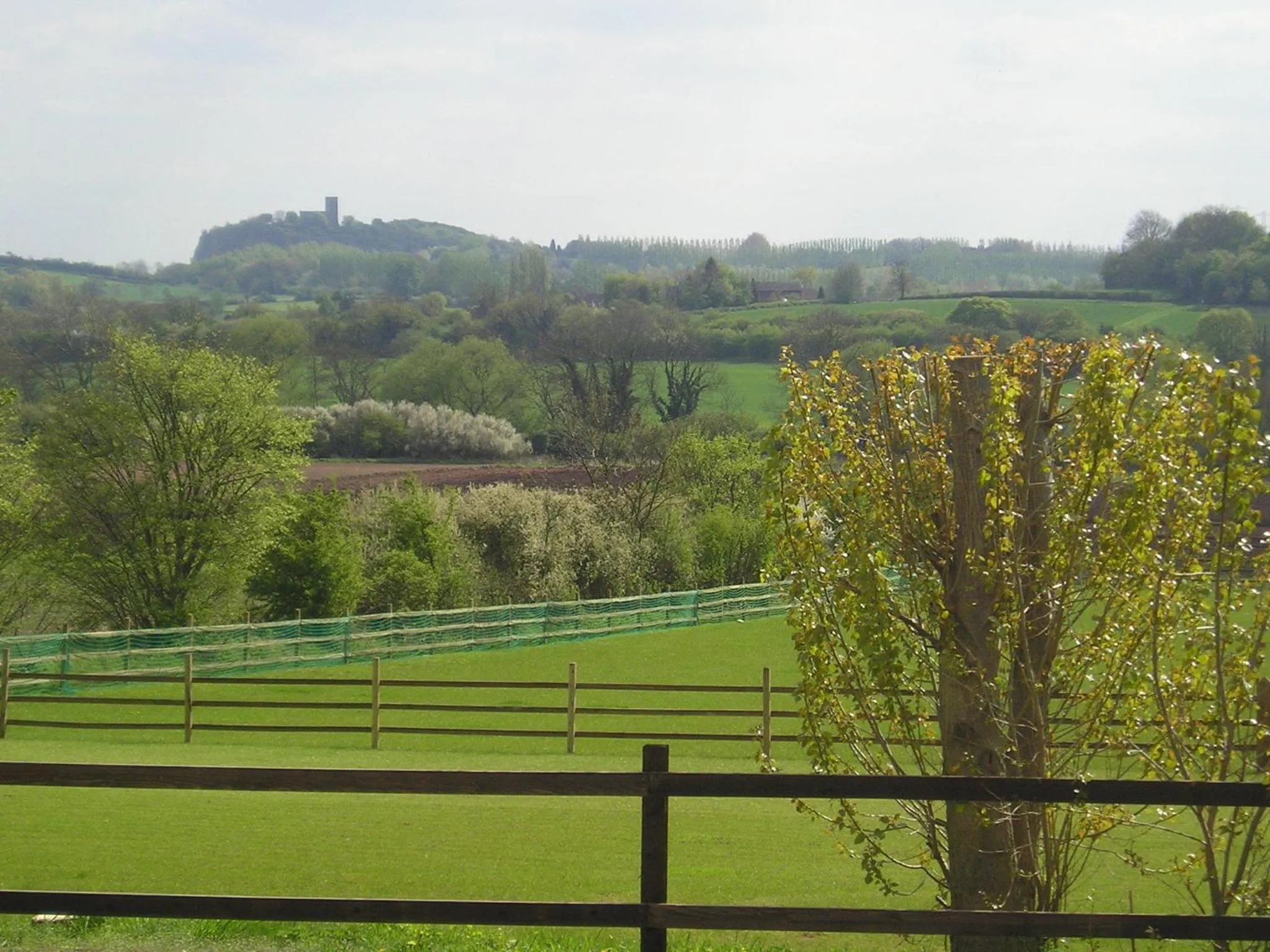 Garden view in Melbourne View Hotel