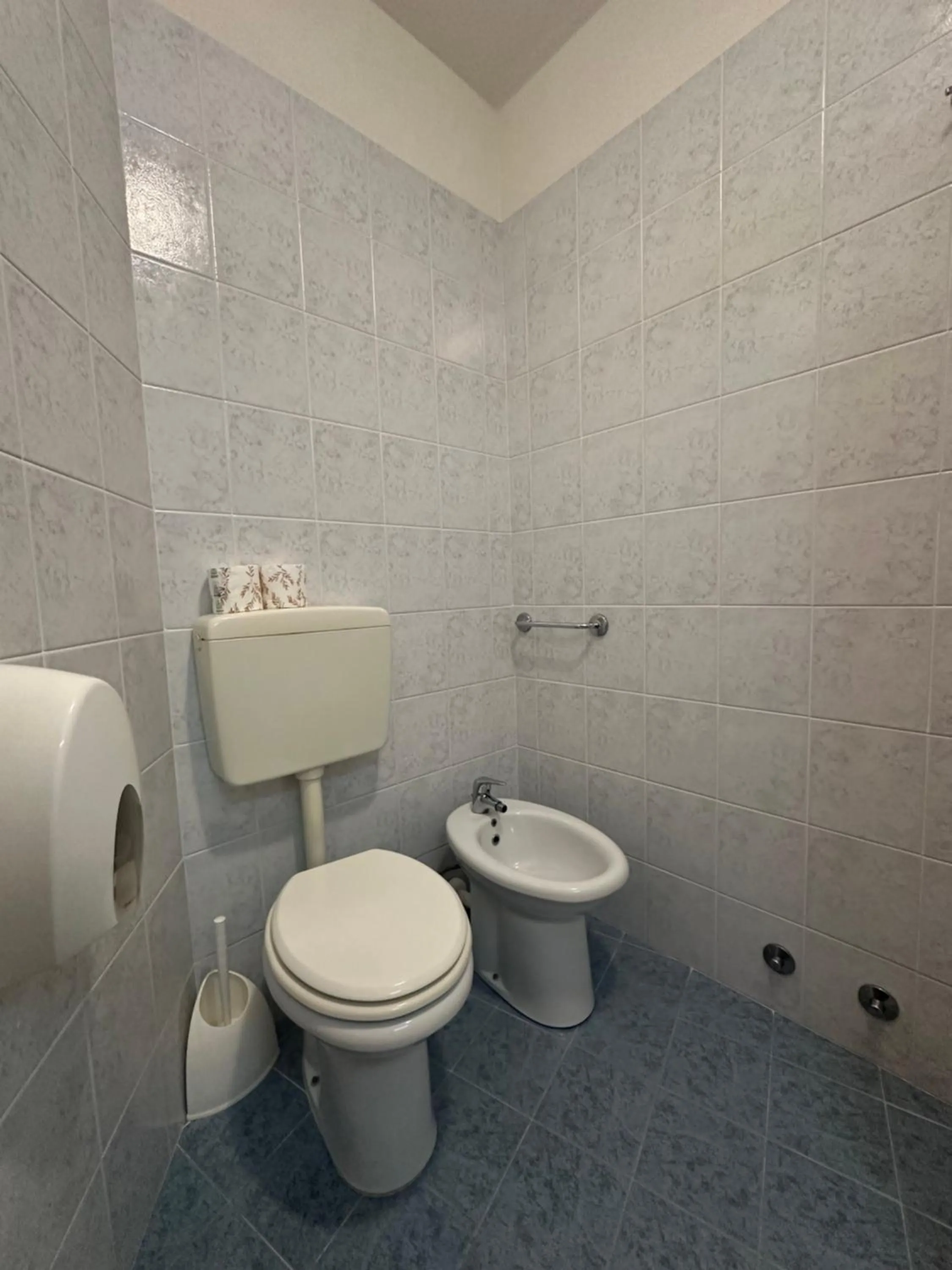 Toilet in Hotel Vienna