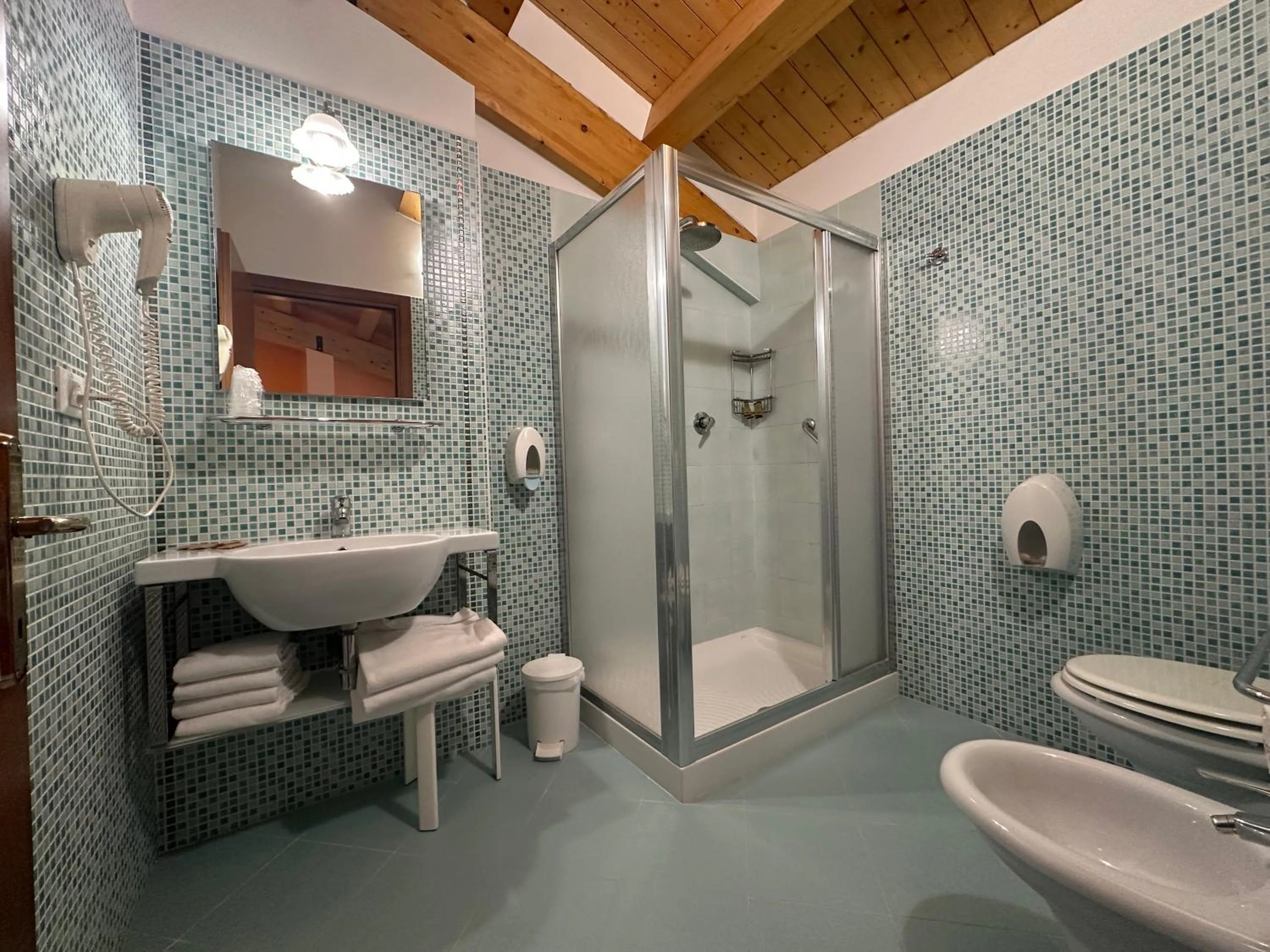 Shower in Hotel Vienna